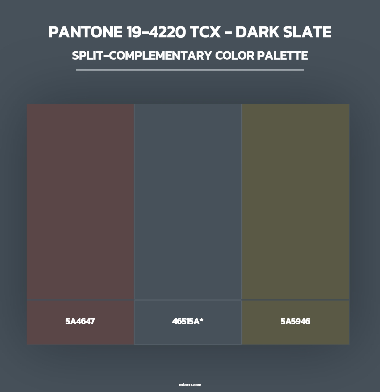 PANTONE 19-4220 TCX - Dark Slate - Split-Complementary Color Palette