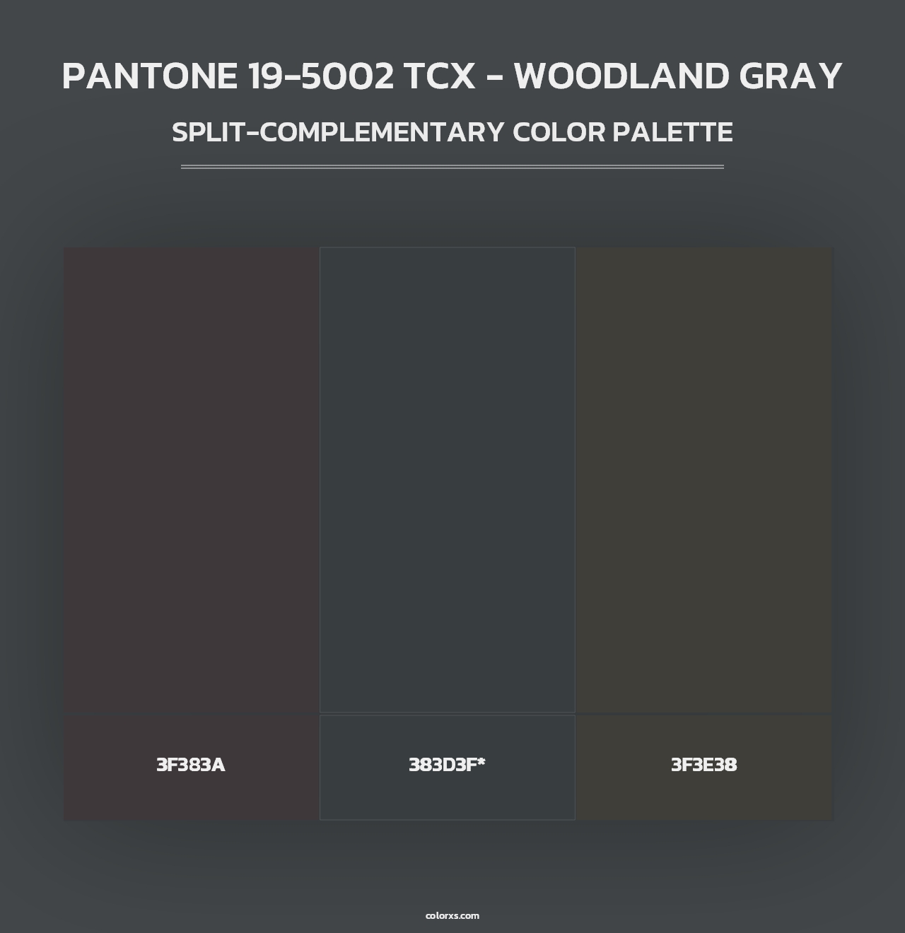 PANTONE 19-5002 TCX - Woodland Gray - Split-Complementary Color Palette