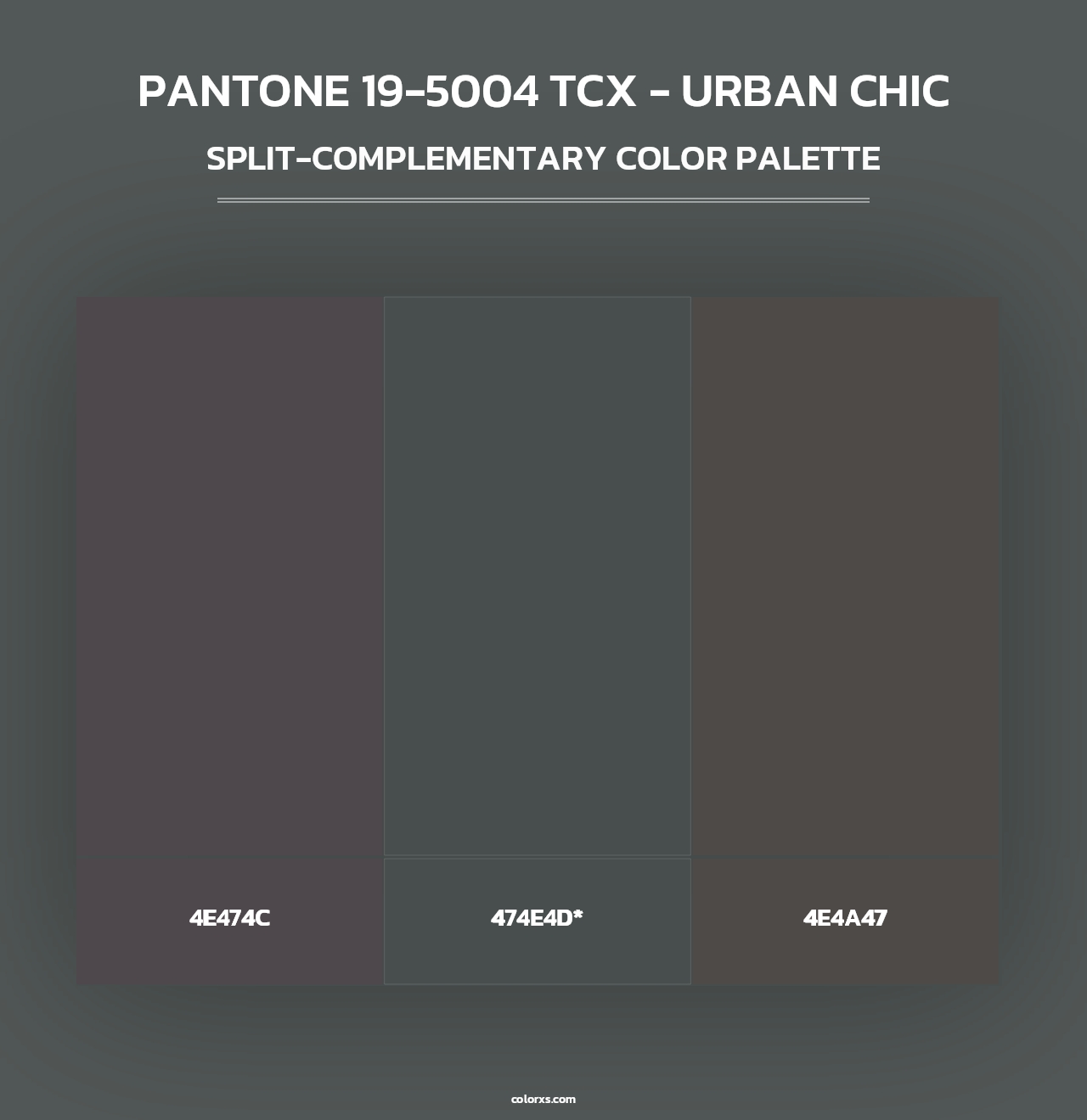 PANTONE 19-5004 TCX - Urban Chic - Split-Complementary Color Palette