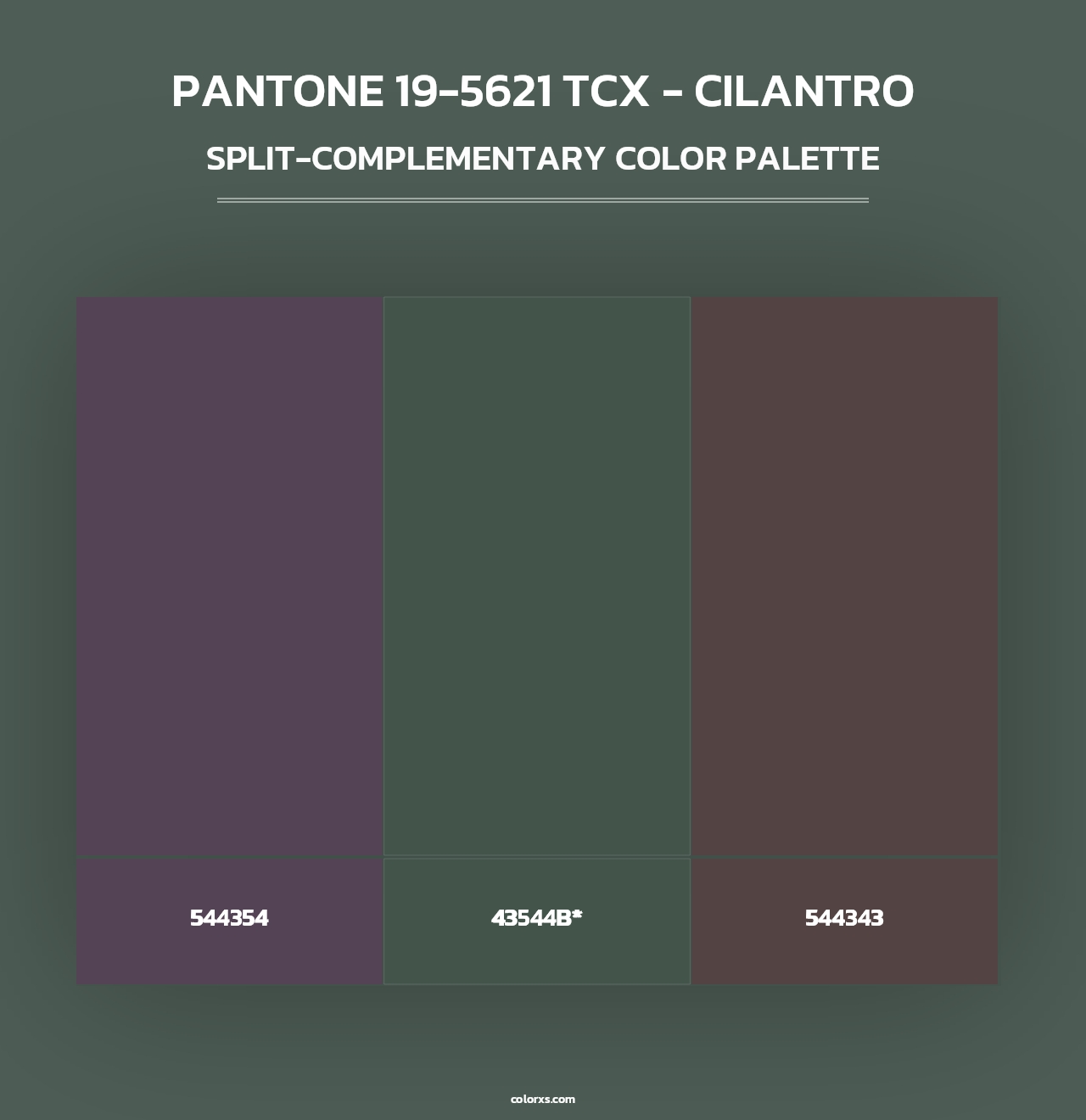 PANTONE 19-5621 TCX - Cilantro - Split-Complementary Color Palette