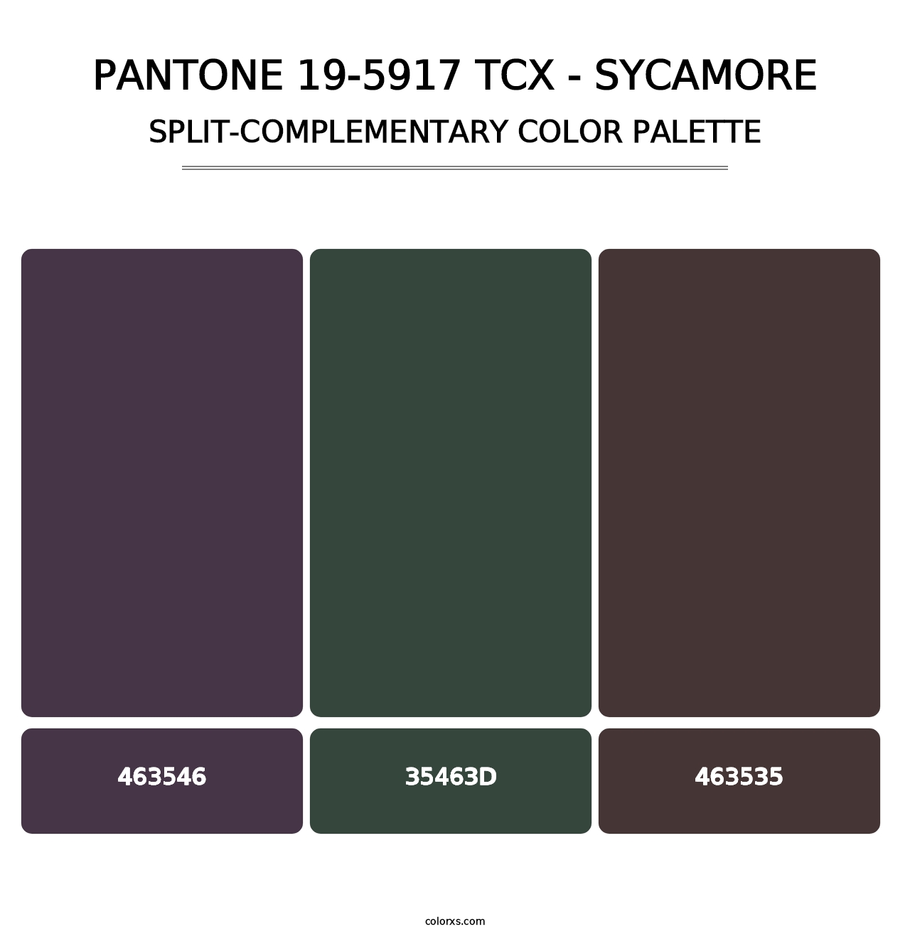 PANTONE 19-5917 TCX - Sycamore - Split-Complementary Color Palette