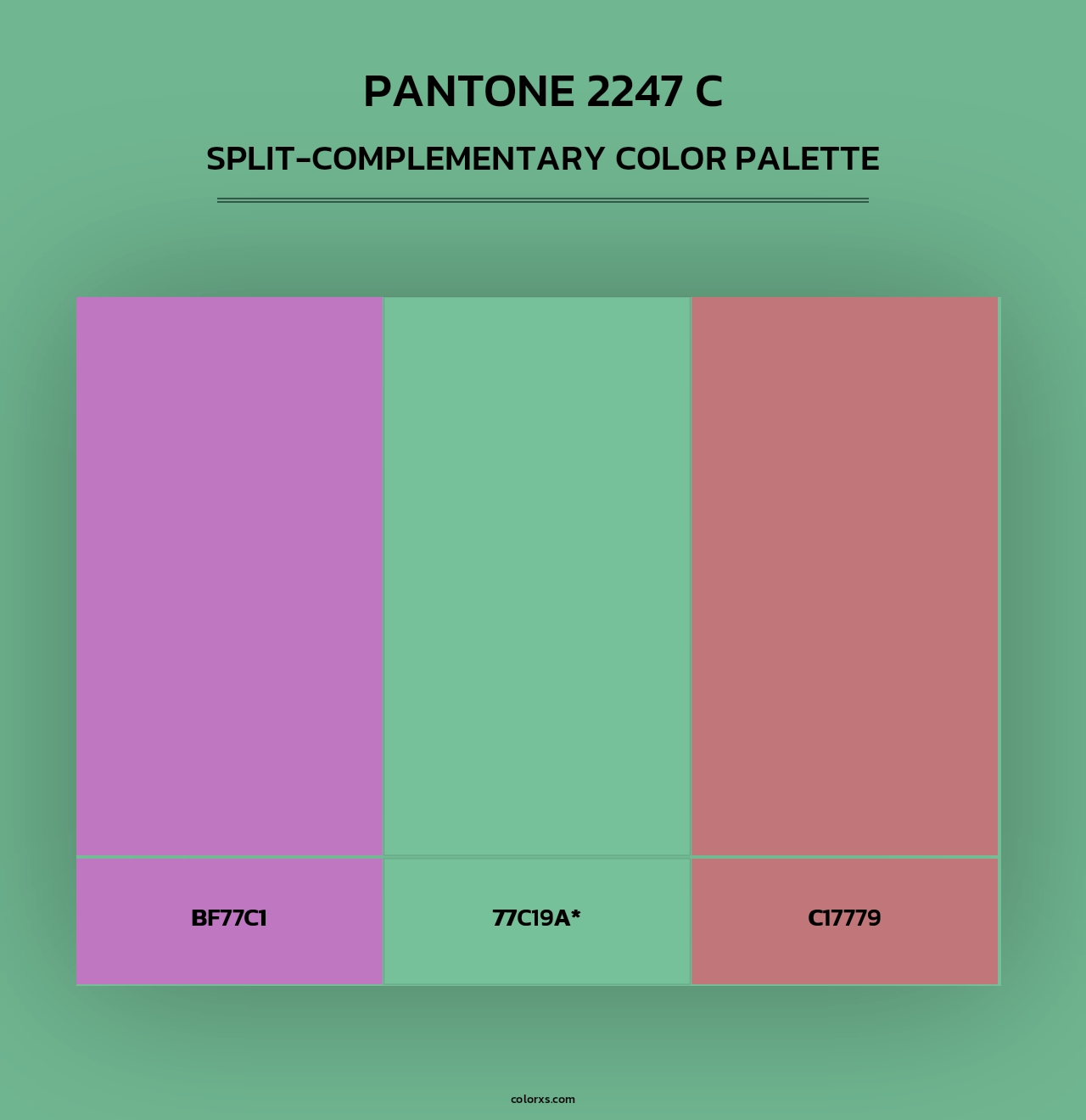 PANTONE 2247 C - Split-Complementary Color Palette