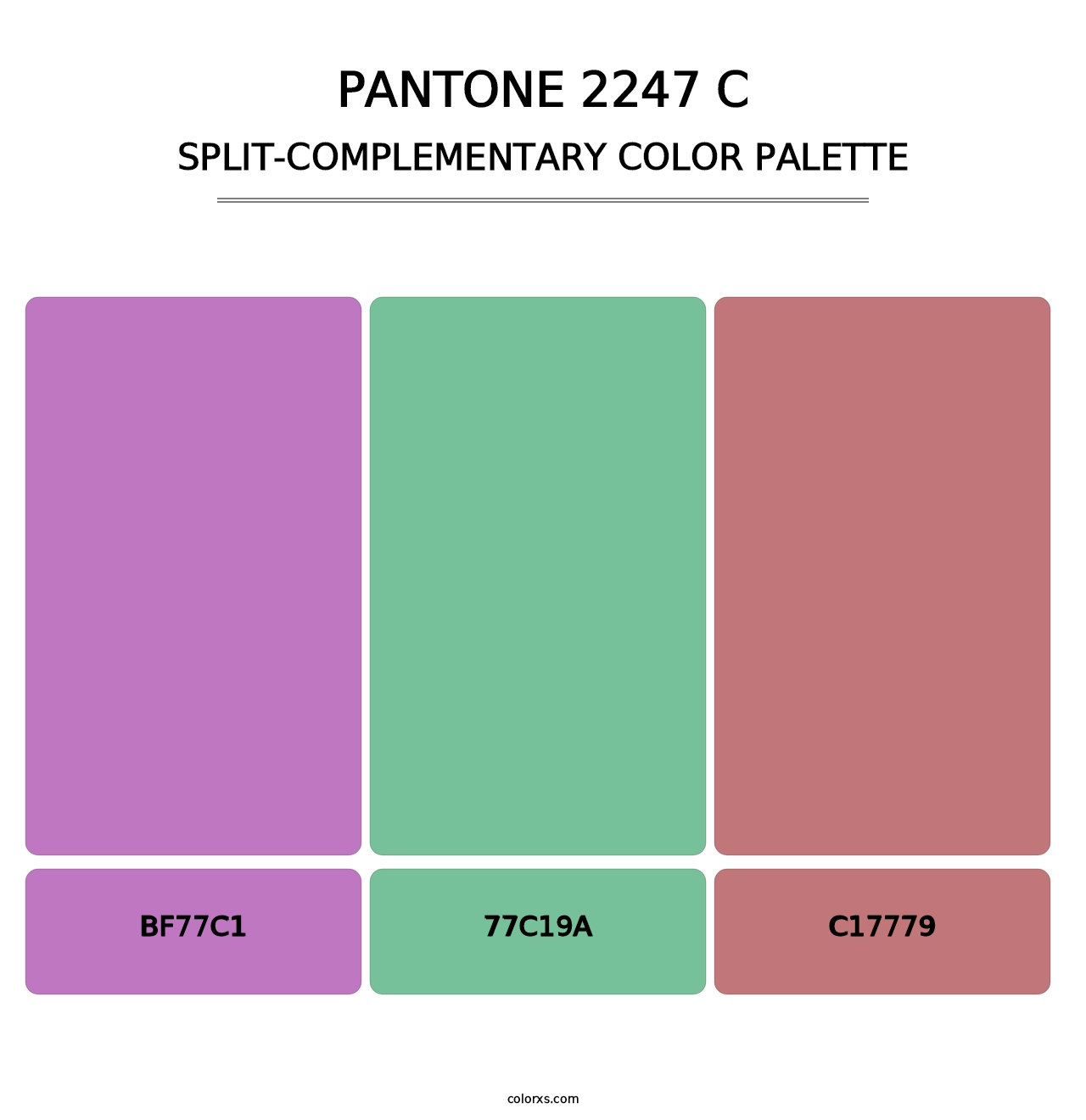 PANTONE 2247 C - Split-Complementary Color Palette