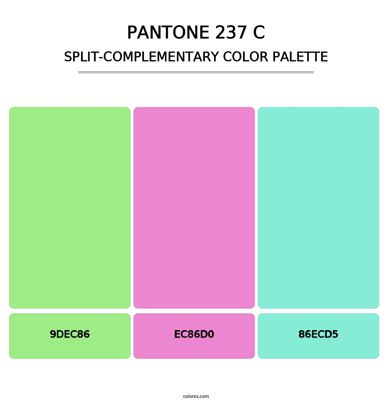 PANTONE 237 C - Split-Complementary Color Palette