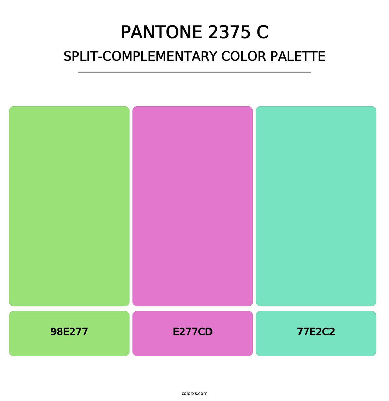 PANTONE 2375 C - Split-Complementary Color Palette