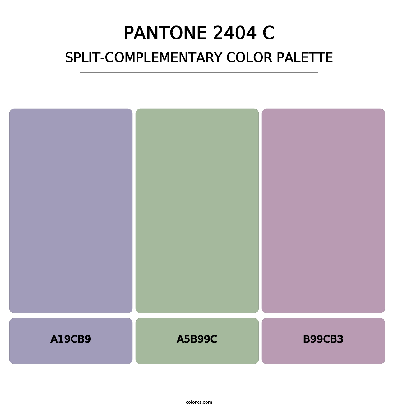 PANTONE 2404 C - Split-Complementary Color Palette
