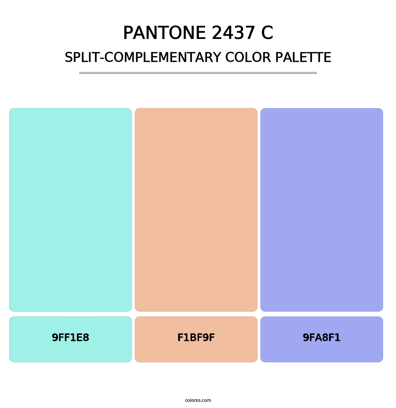 PANTONE 2437 C - Split-Complementary Color Palette