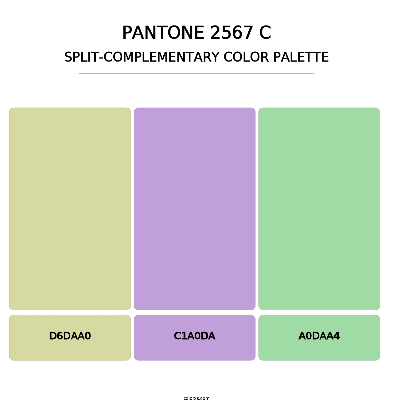 PANTONE 2567 C - Split-Complementary Color Palette