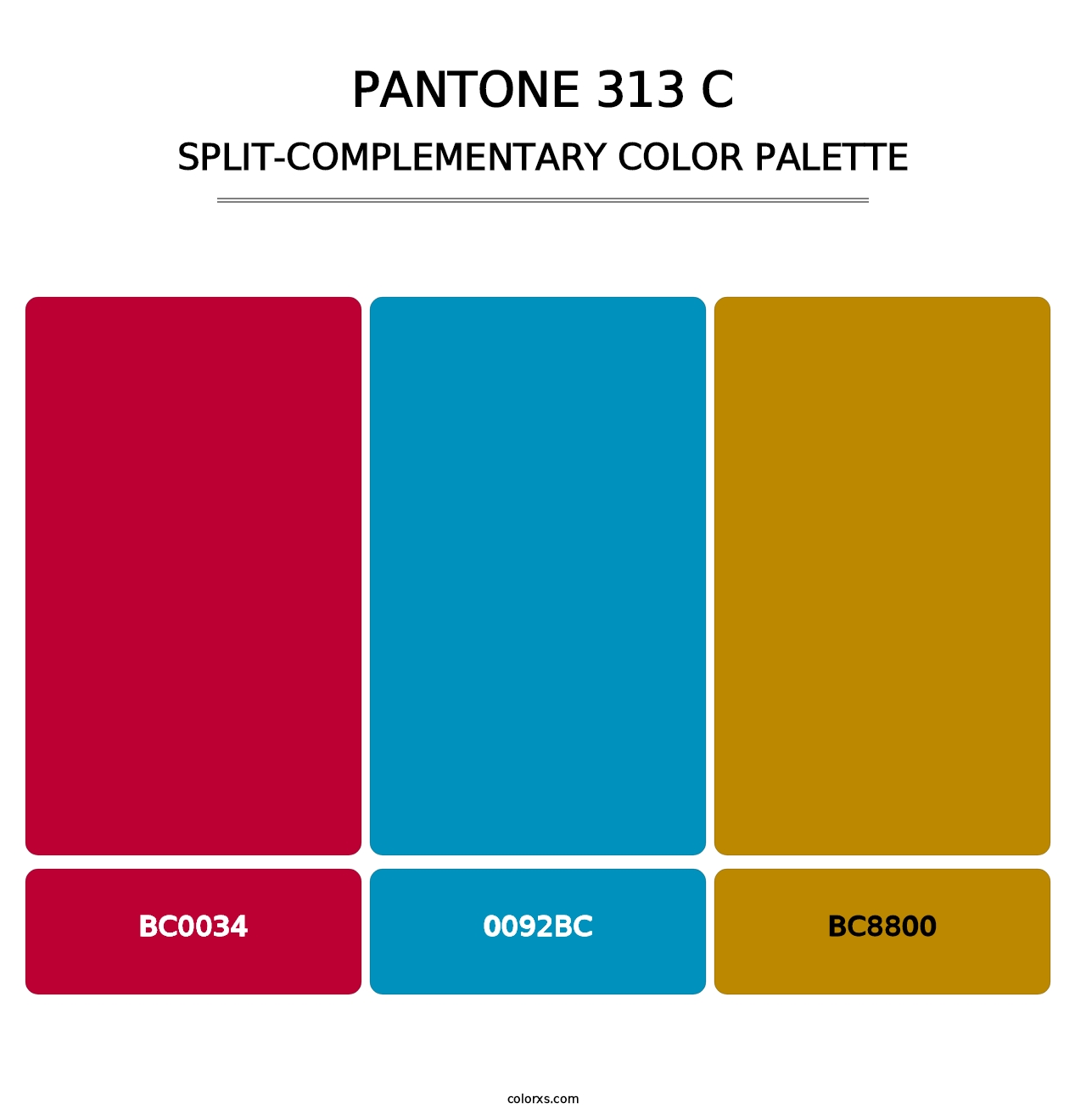 PANTONE 313 C - Split-Complementary Color Palette