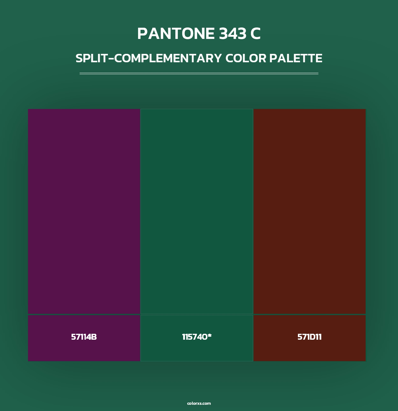 PANTONE 343 C - Split-Complementary Color Palette