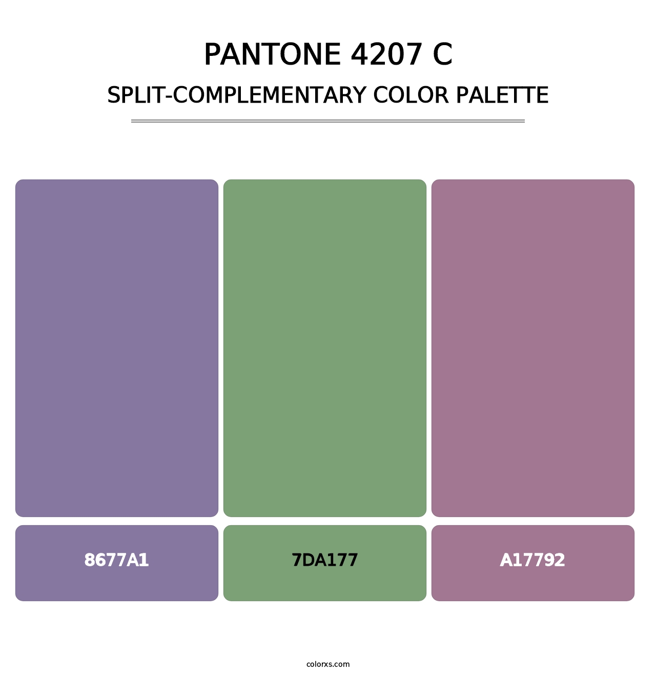 PANTONE 4207 C - Split-Complementary Color Palette