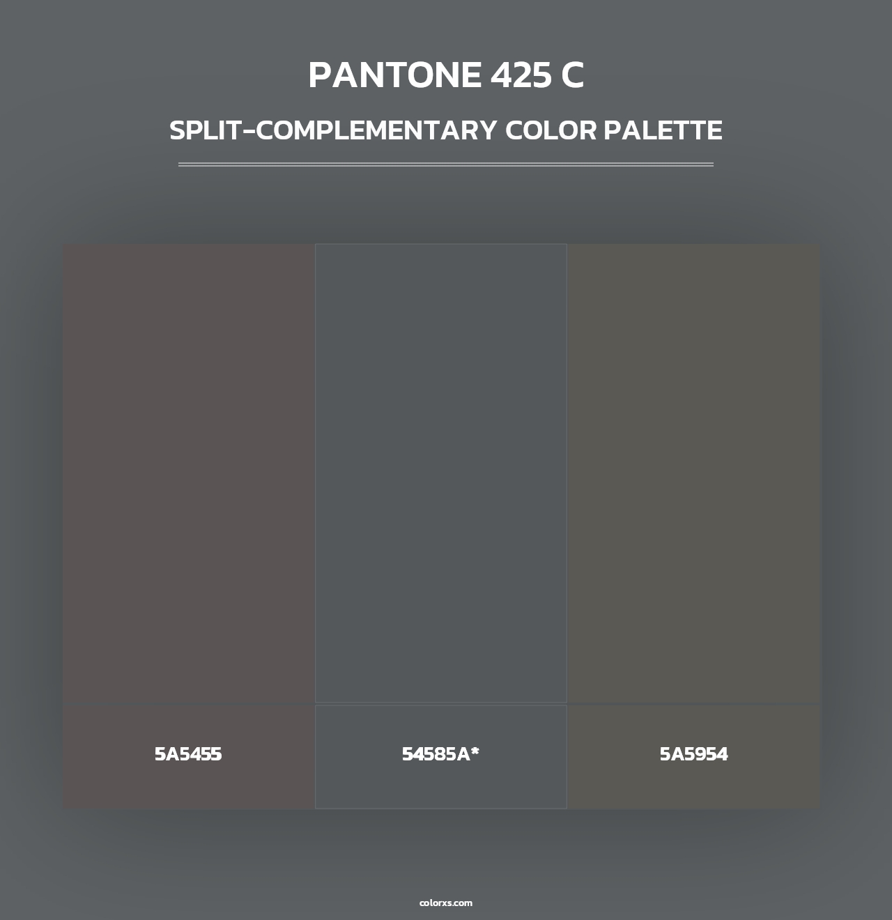 PANTONE 425 C - Split-Complementary Color Palette