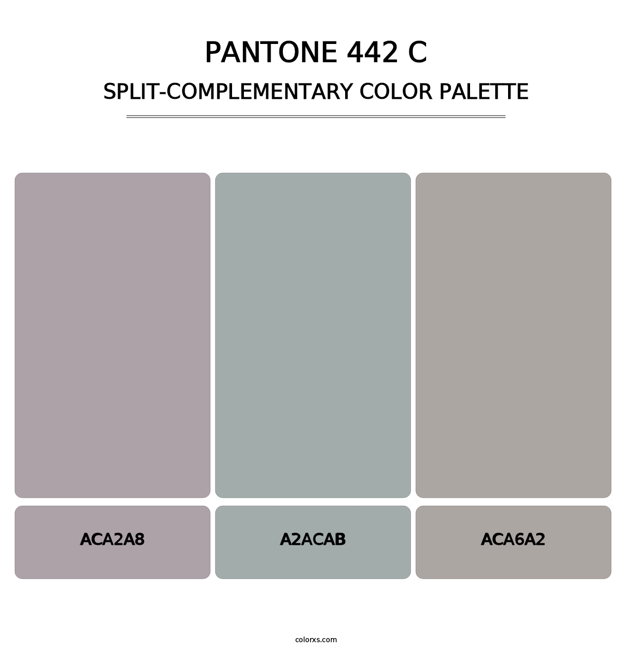 PANTONE 442 C - Split-Complementary Color Palette