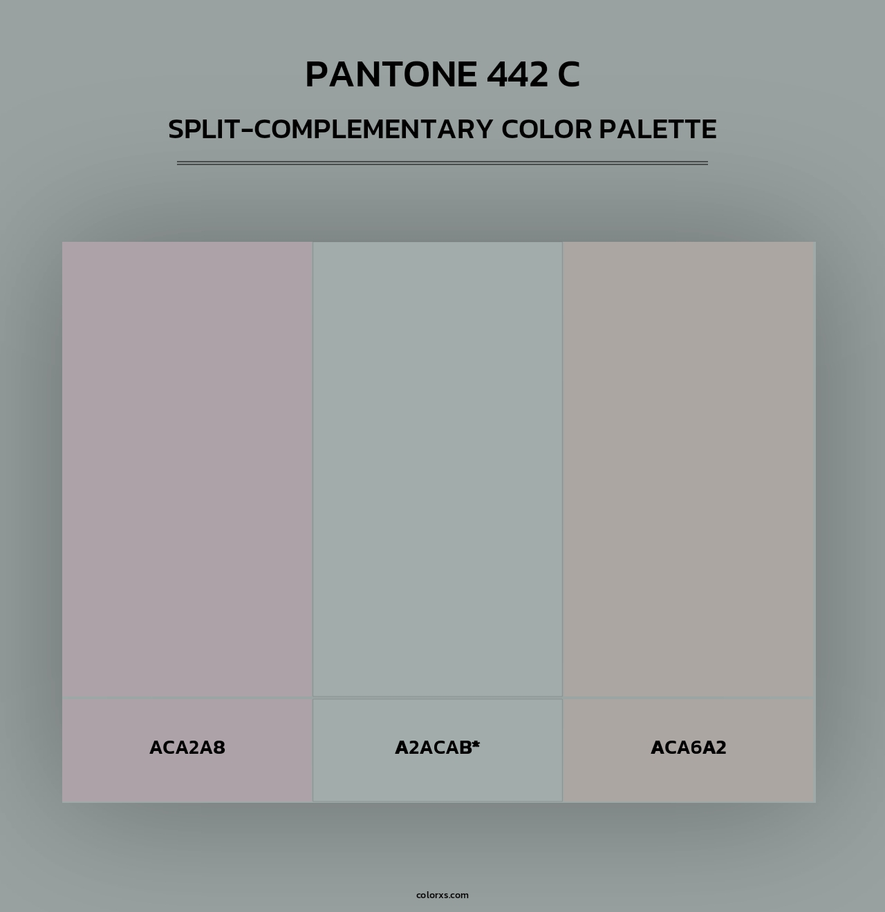 PANTONE 442 C - Split-Complementary Color Palette