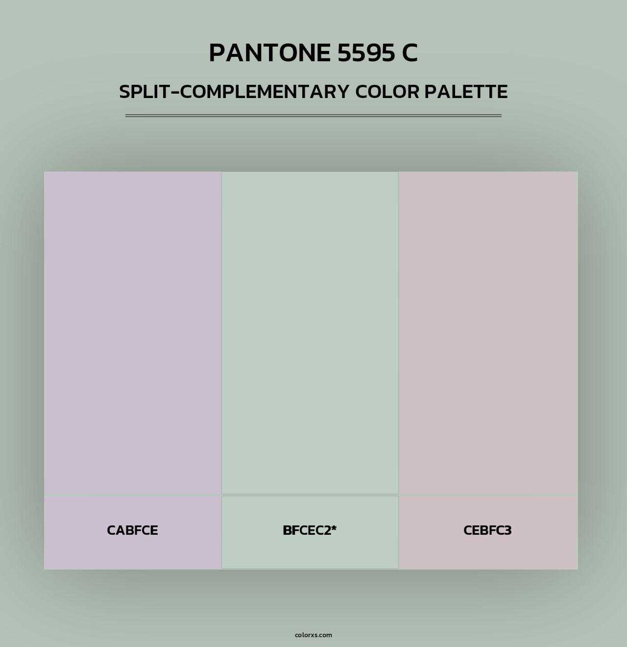 PANTONE 5595 C - Split-Complementary Color Palette
