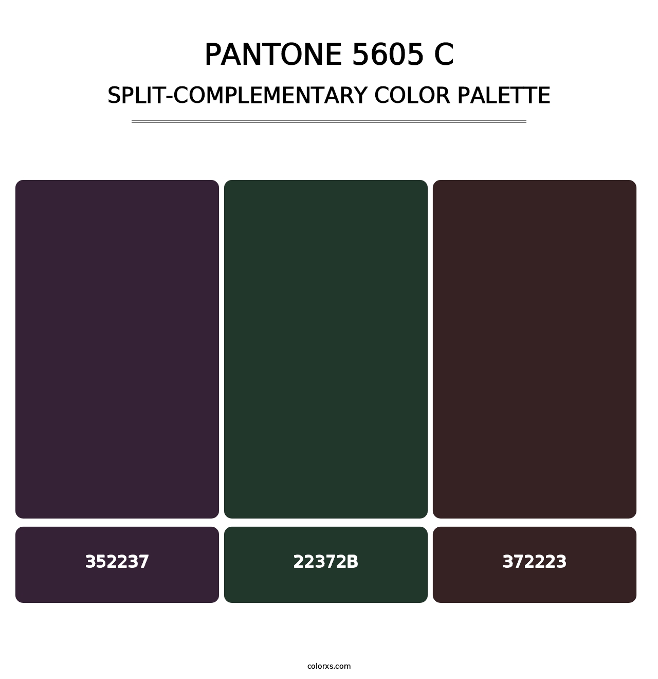 PANTONE 5605 C - Split-Complementary Color Palette