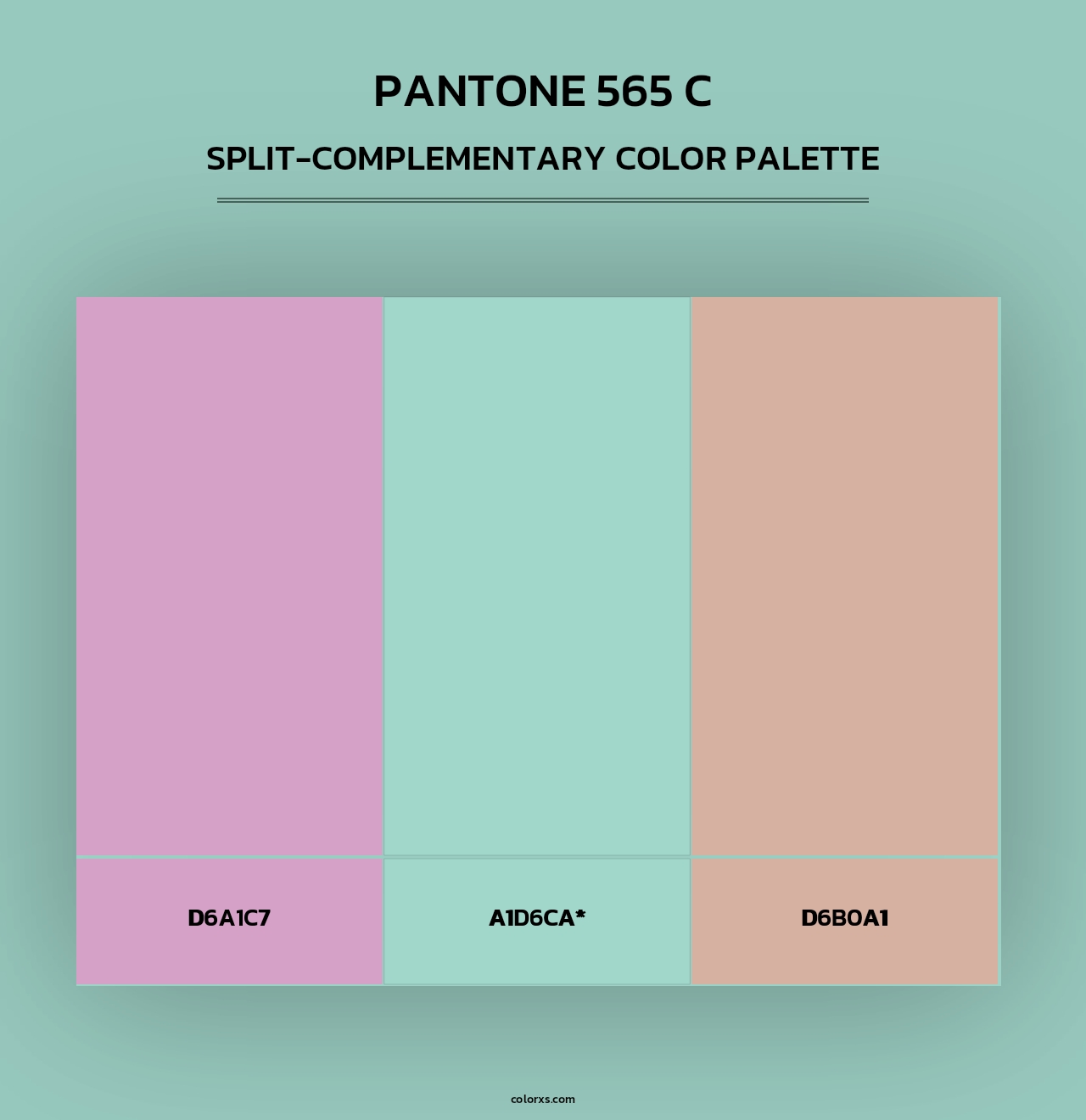 PANTONE 565 C - Split-Complementary Color Palette