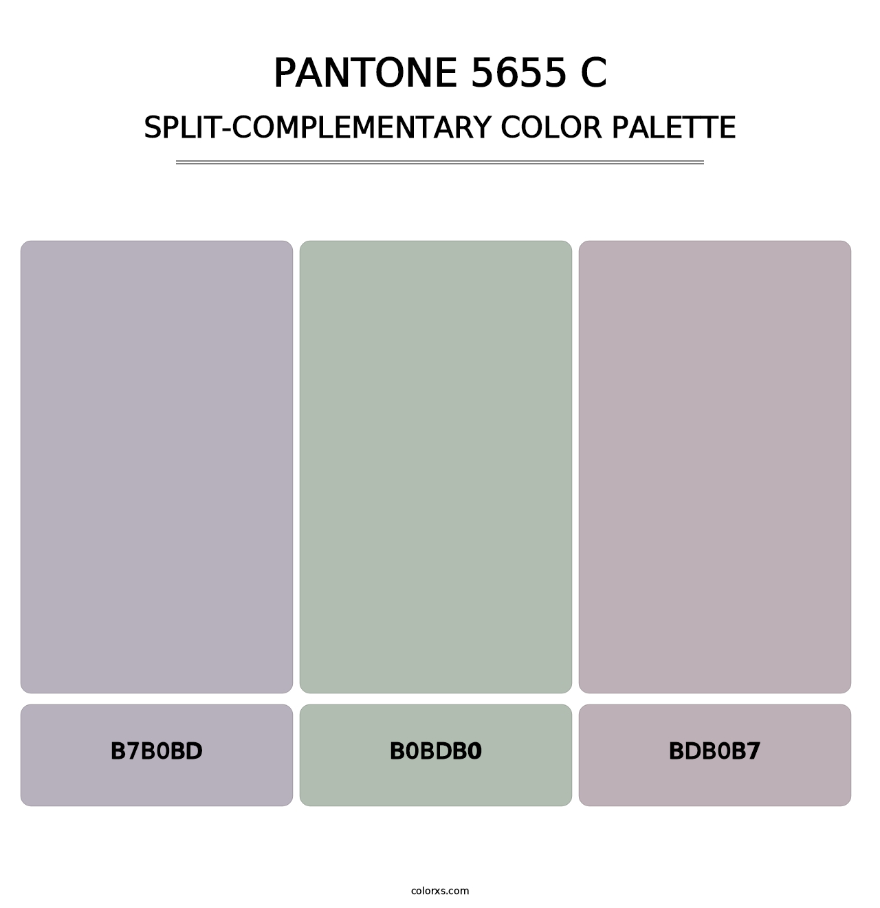 PANTONE 5655 C - Split-Complementary Color Palette
