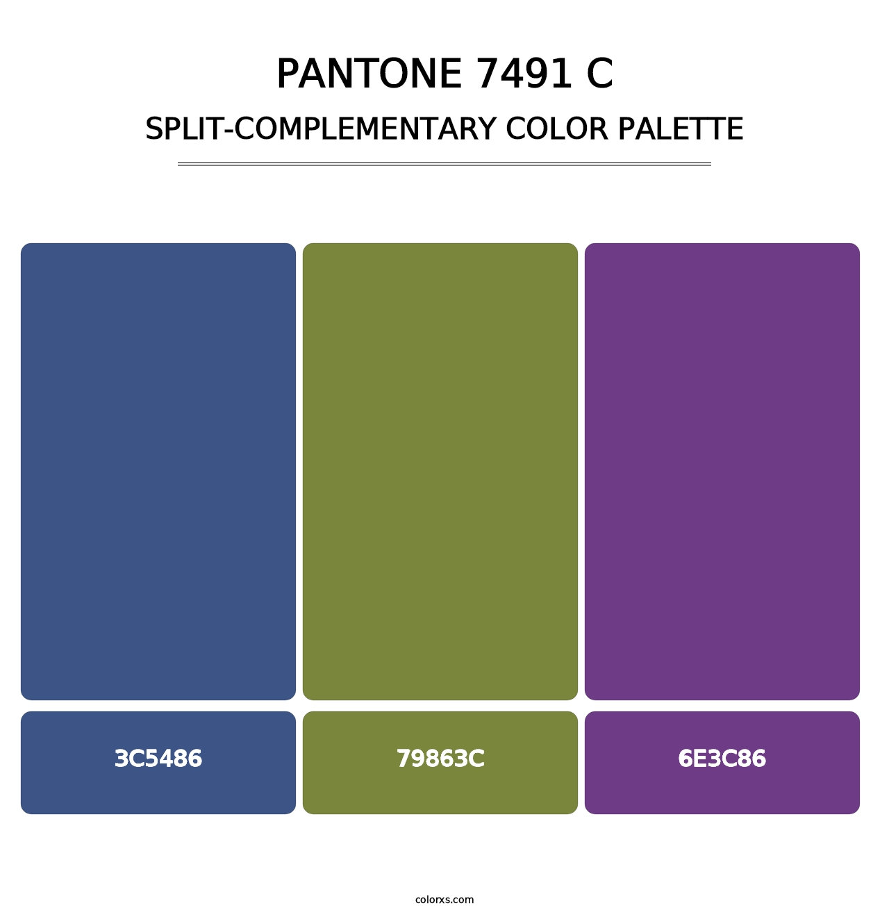 PANTONE 7491 C - Split-Complementary Color Palette