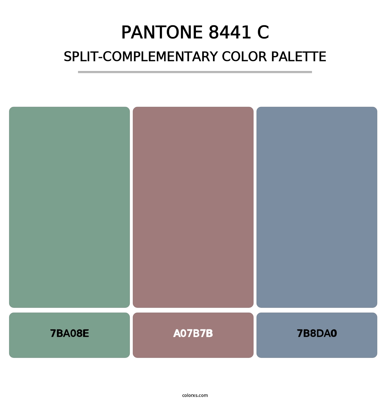 PANTONE 8441 C - Split-Complementary Color Palette