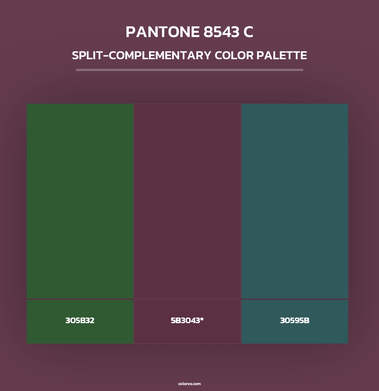 PANTONE 8543 C - Split-Complementary Color Palette