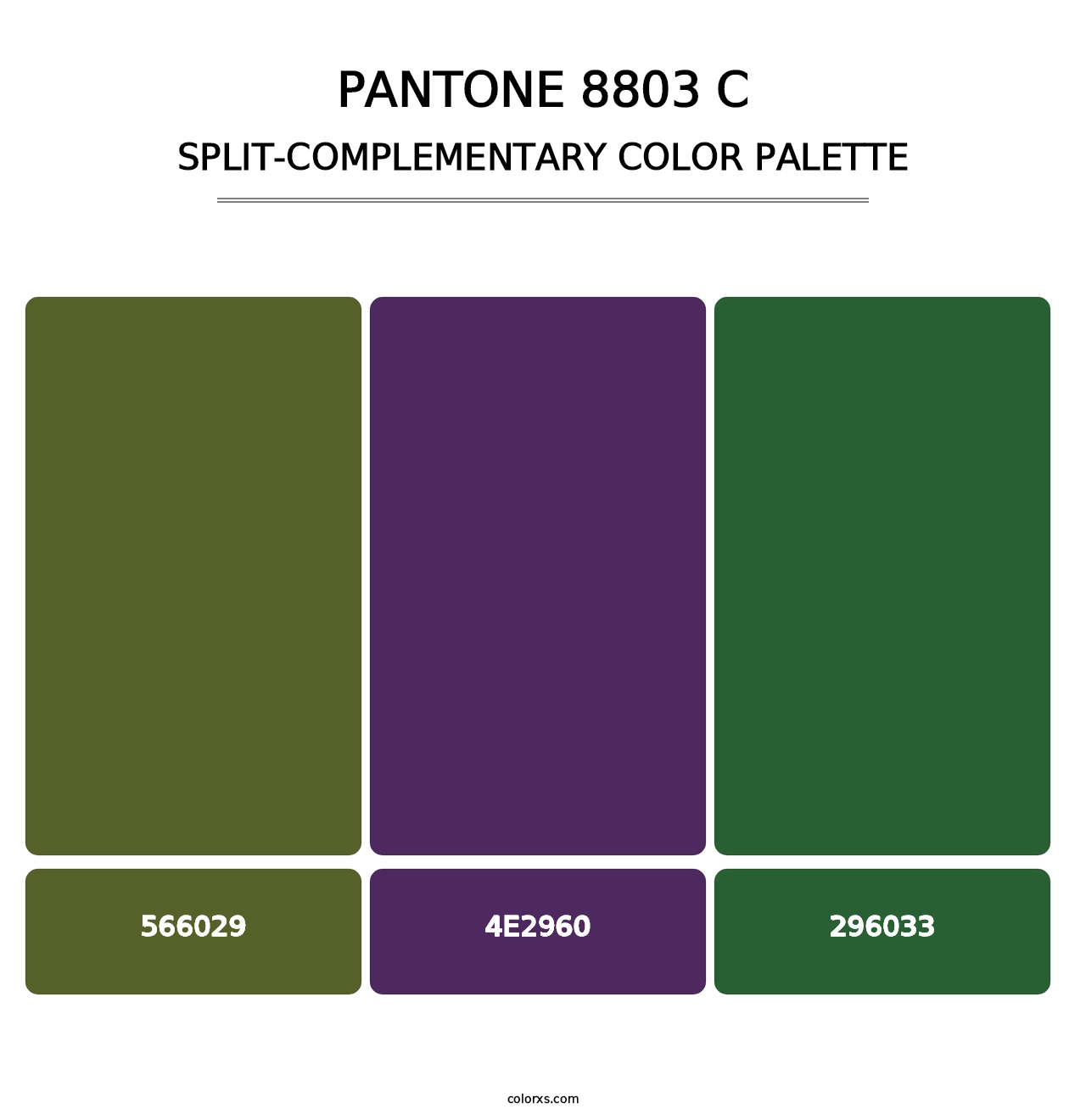 PANTONE 8803 C - Split-Complementary Color Palette