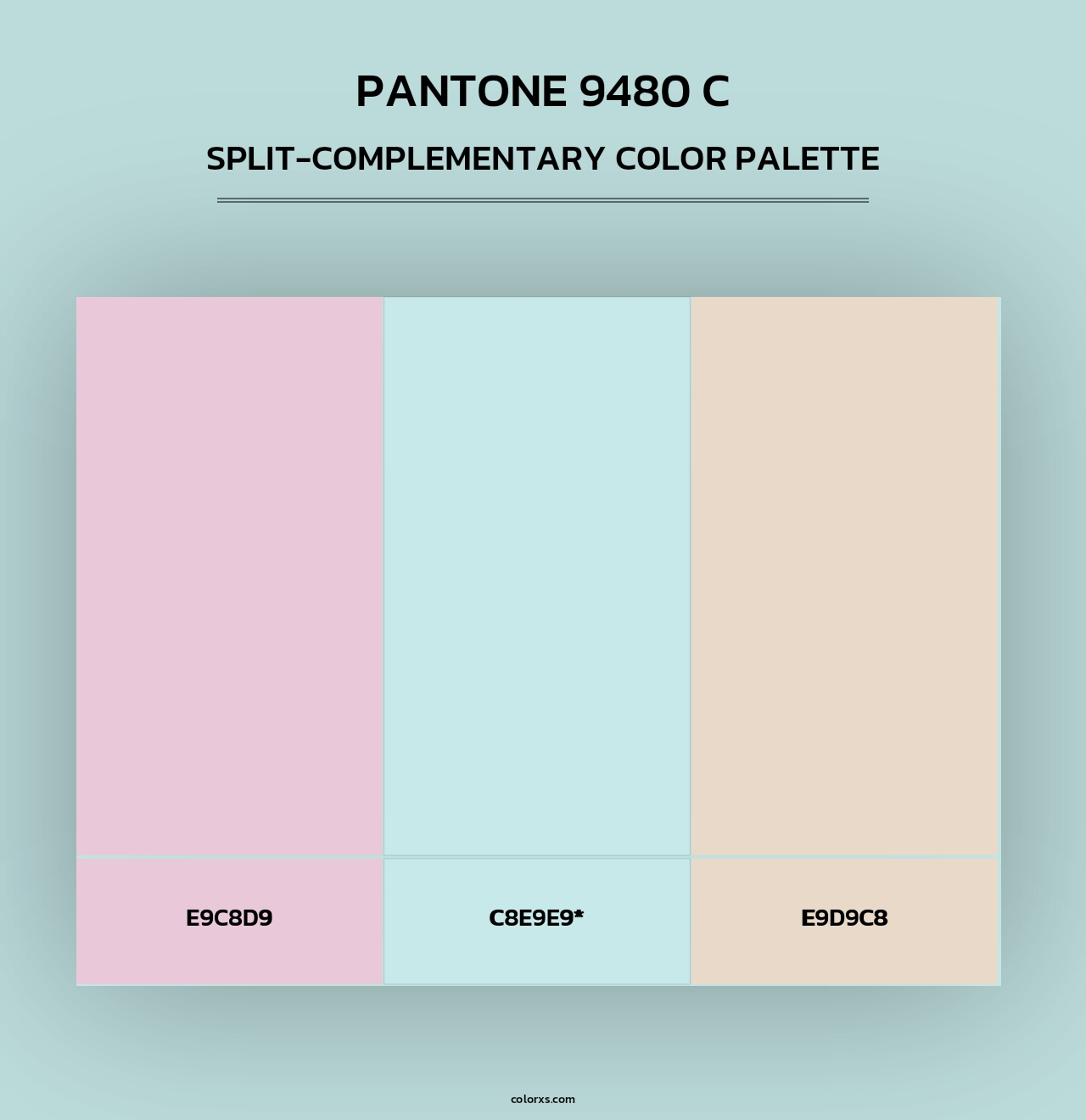 PANTONE 9480 C - Split-Complementary Color Palette