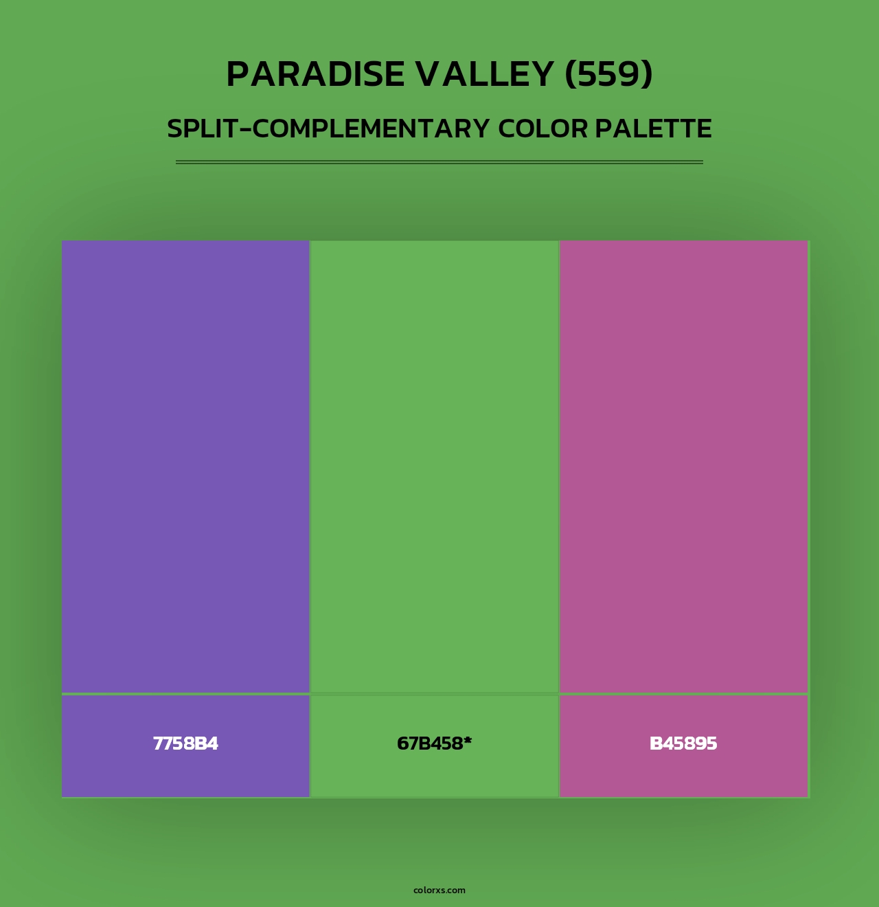 Paradise Valley (559) - Split-Complementary Color Palette