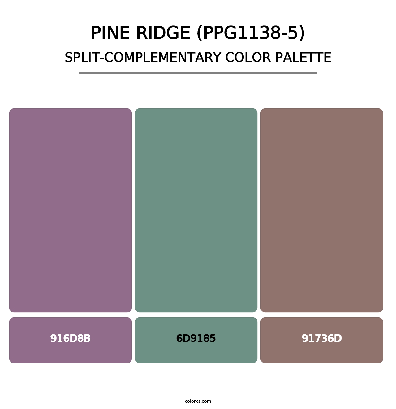 Pine Ridge (PPG1138-5) - Split-Complementary Color Palette
