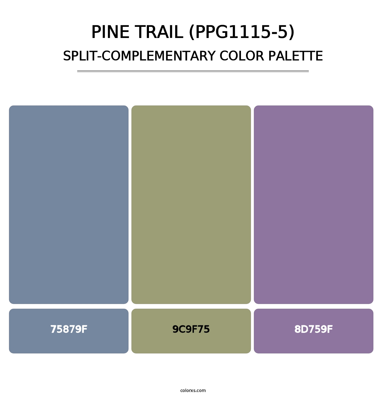 Pine Trail (PPG1115-5) - Split-Complementary Color Palette