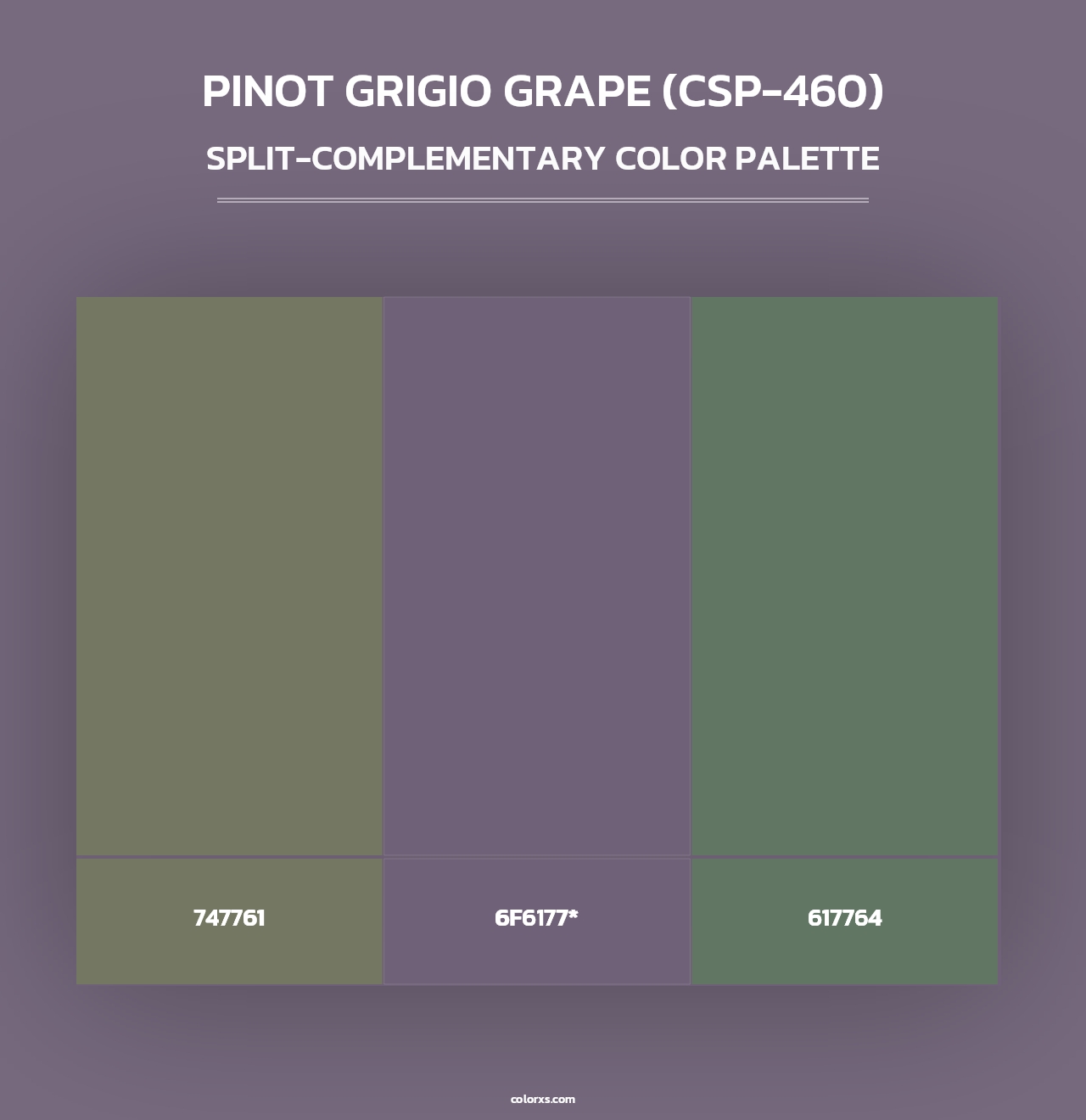 Pinot Grigio Grape (CSP-460) - Split-Complementary Color Palette