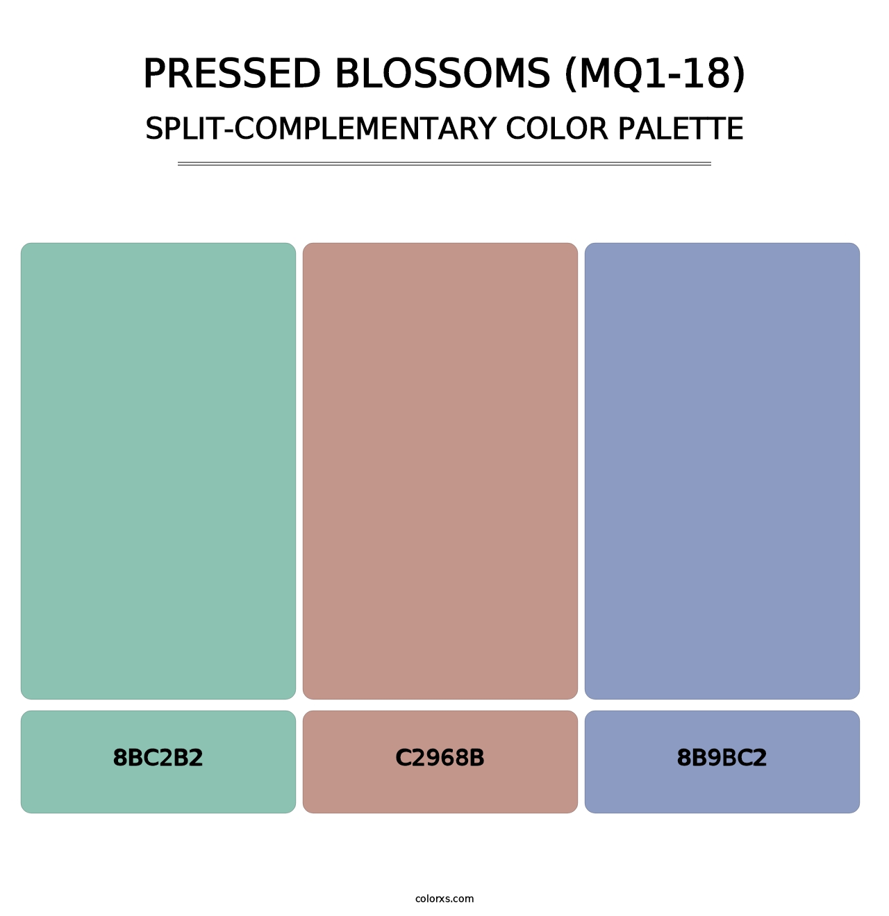 Pressed Blossoms (MQ1-18) - Split-Complementary Color Palette
