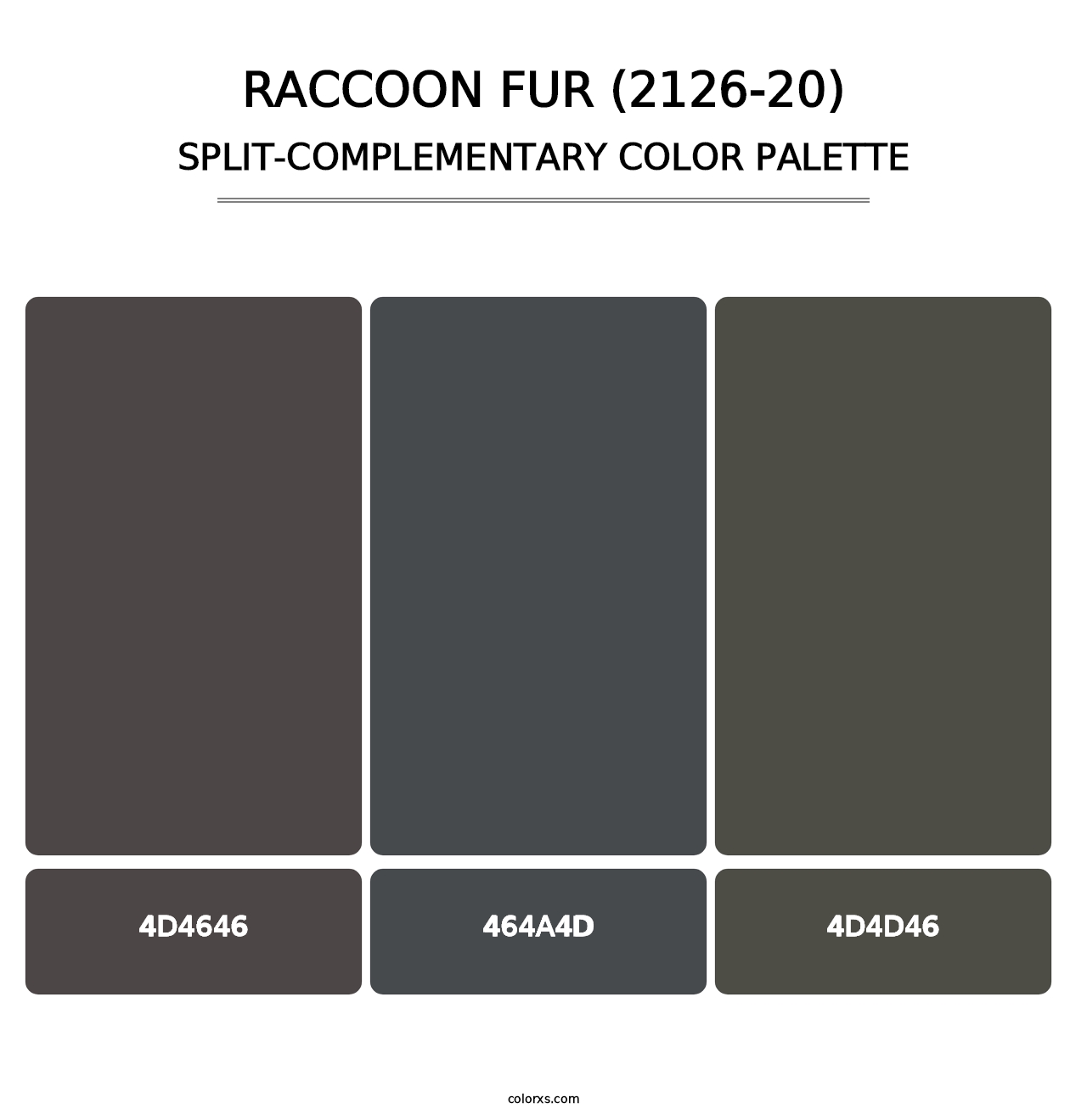 Raccoon Fur (2126-20) - Split-Complementary Color Palette
