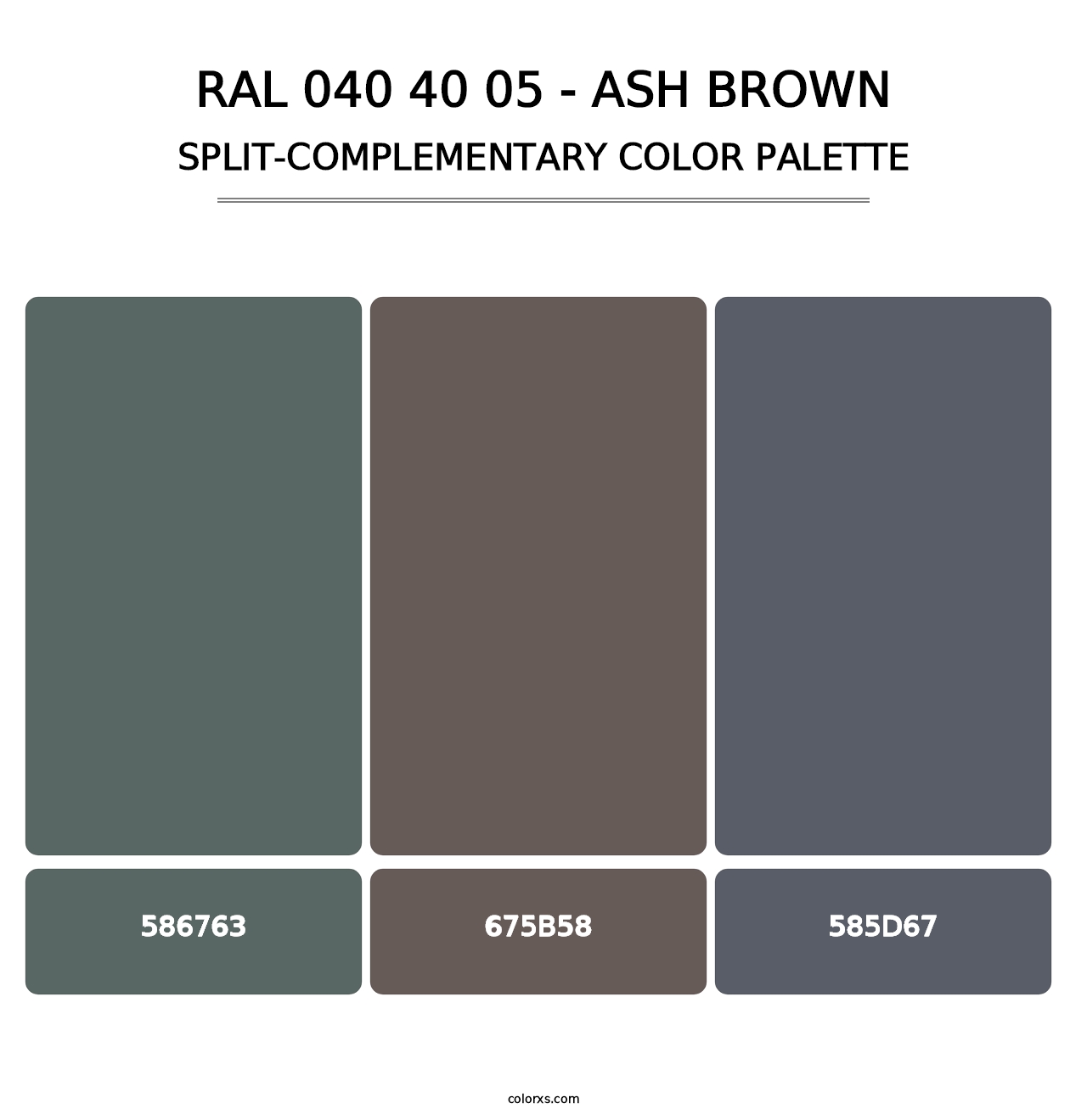 RAL 040 40 05 - Ash Brown - Split-Complementary Color Palette