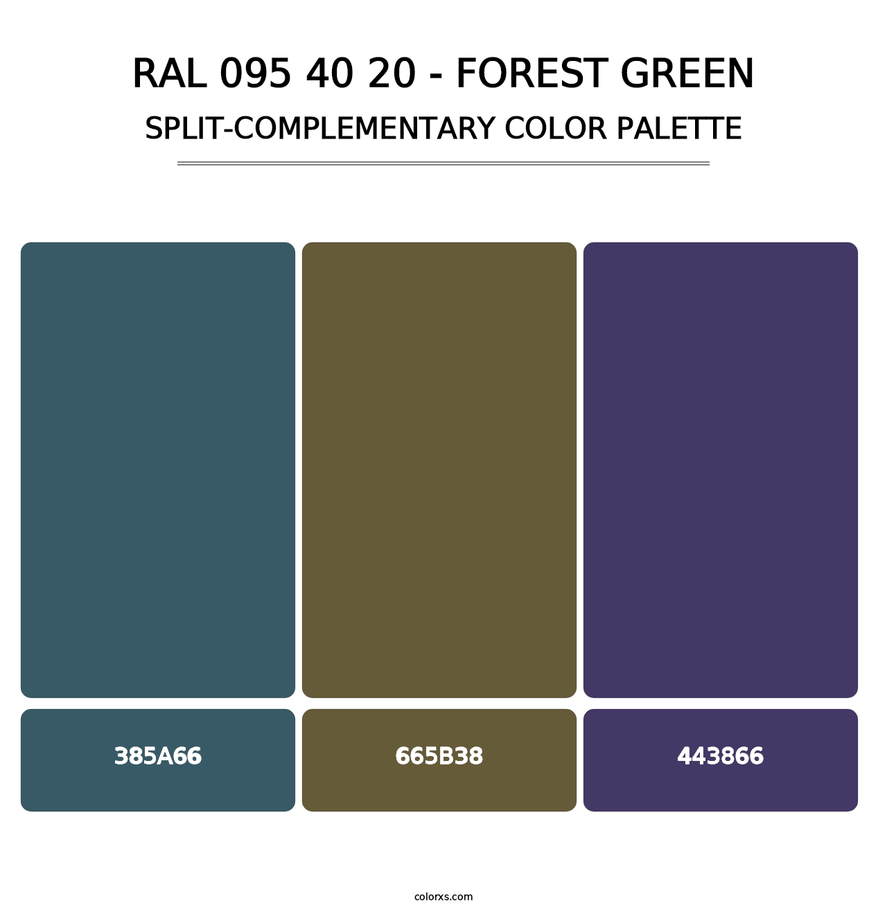 RAL 095 40 20 - Forest Green - Split-Complementary Color Palette