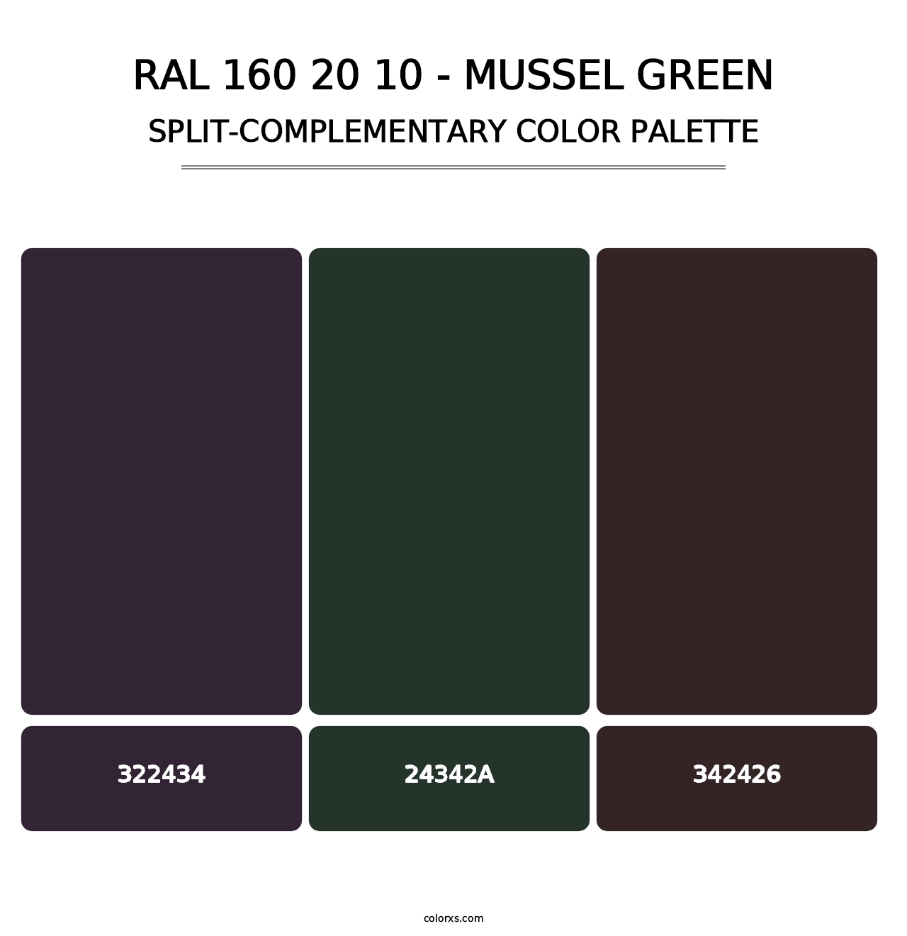 RAL 160 20 10 - Mussel Green - Split-Complementary Color Palette