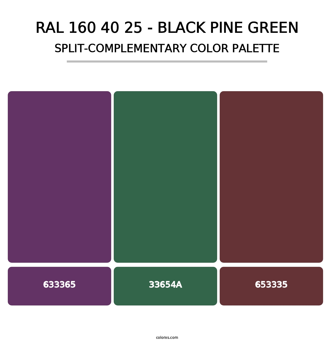 RAL 160 40 25 - Black Pine Green - Split-Complementary Color Palette