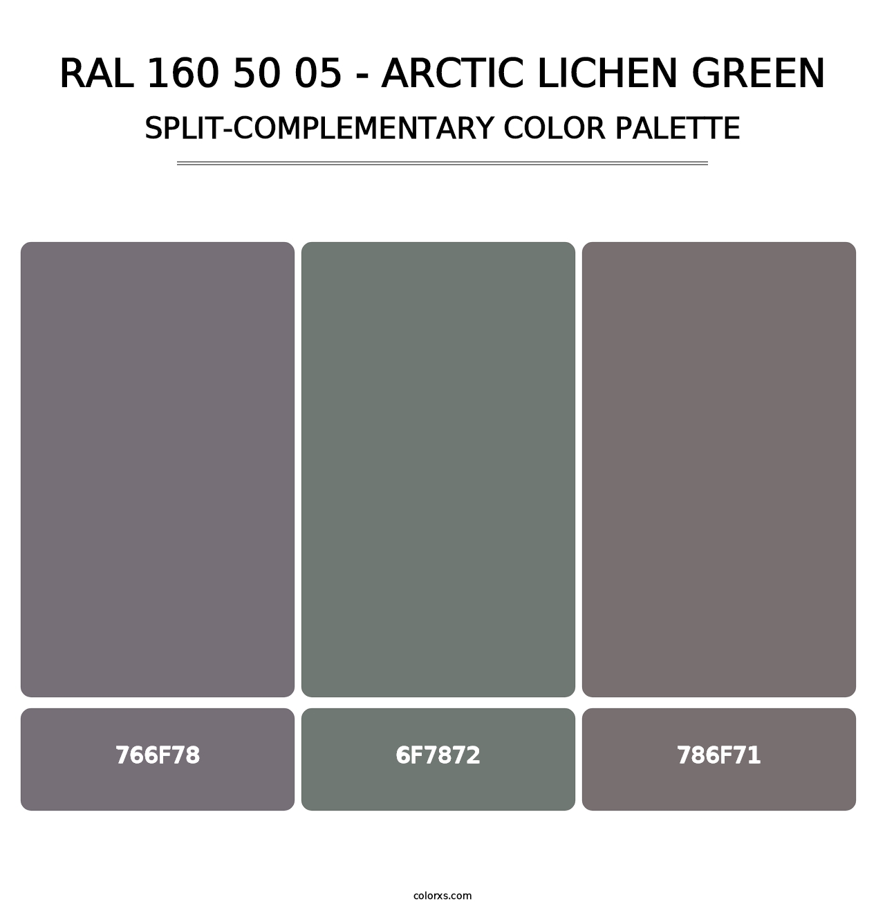 RAL 160 50 05 - Arctic Lichen Green - Split-Complementary Color Palette