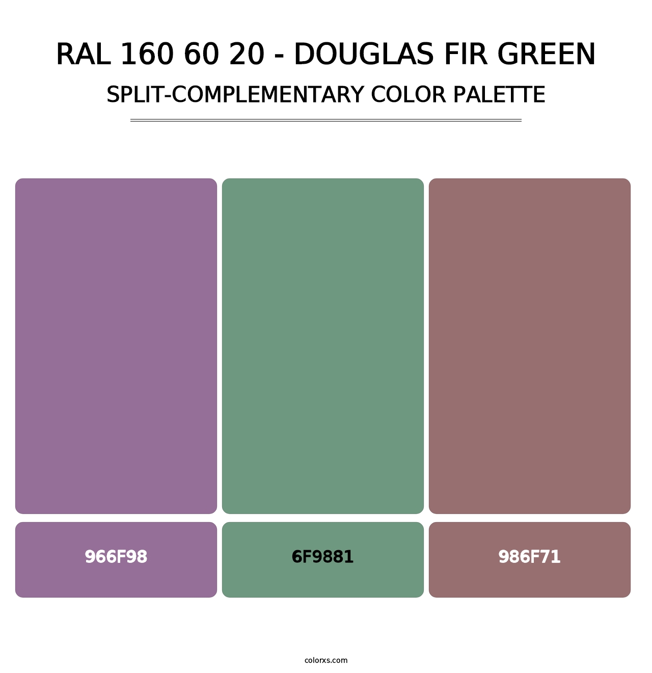RAL 160 60 20 - Douglas Fir Green - Split-Complementary Color Palette