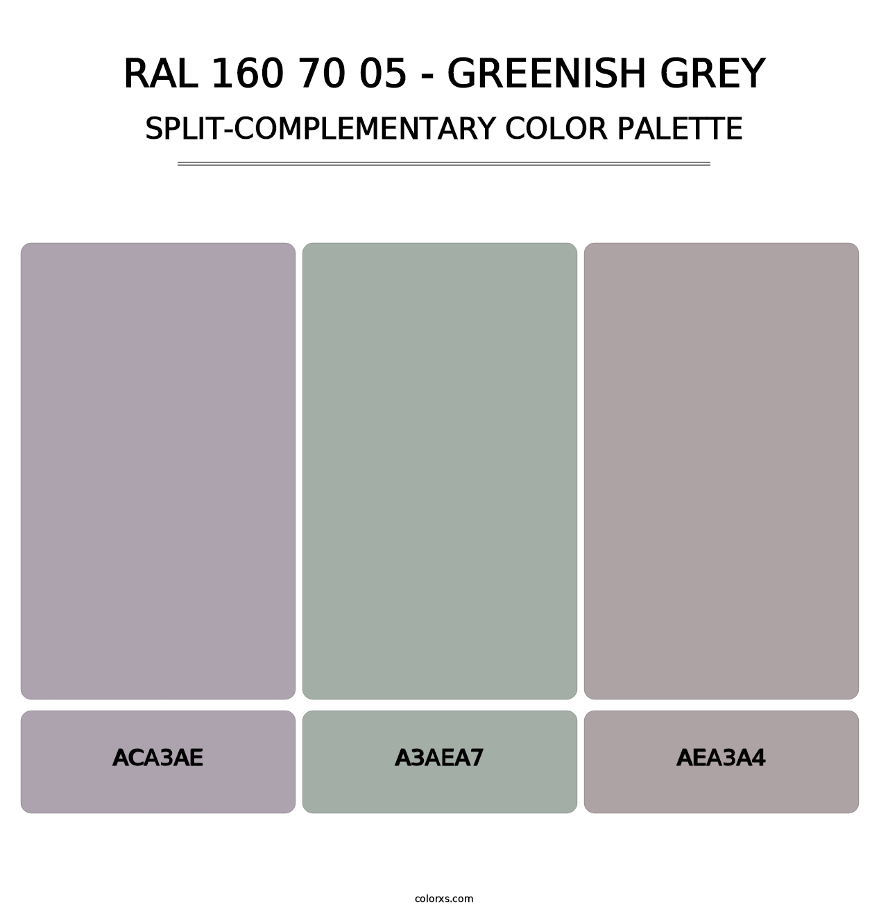 RAL 160 70 05 - Greenish Grey - Split-Complementary Color Palette