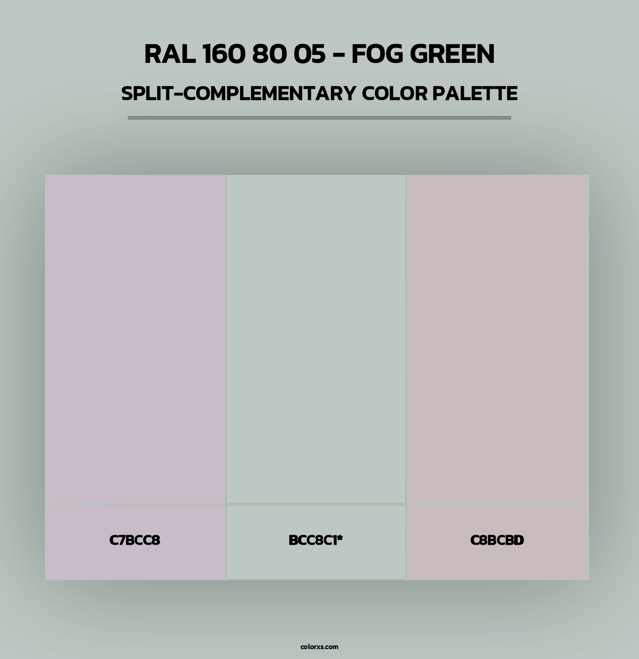 RAL 160 80 05 - Fog Green - Split-Complementary Color Palette