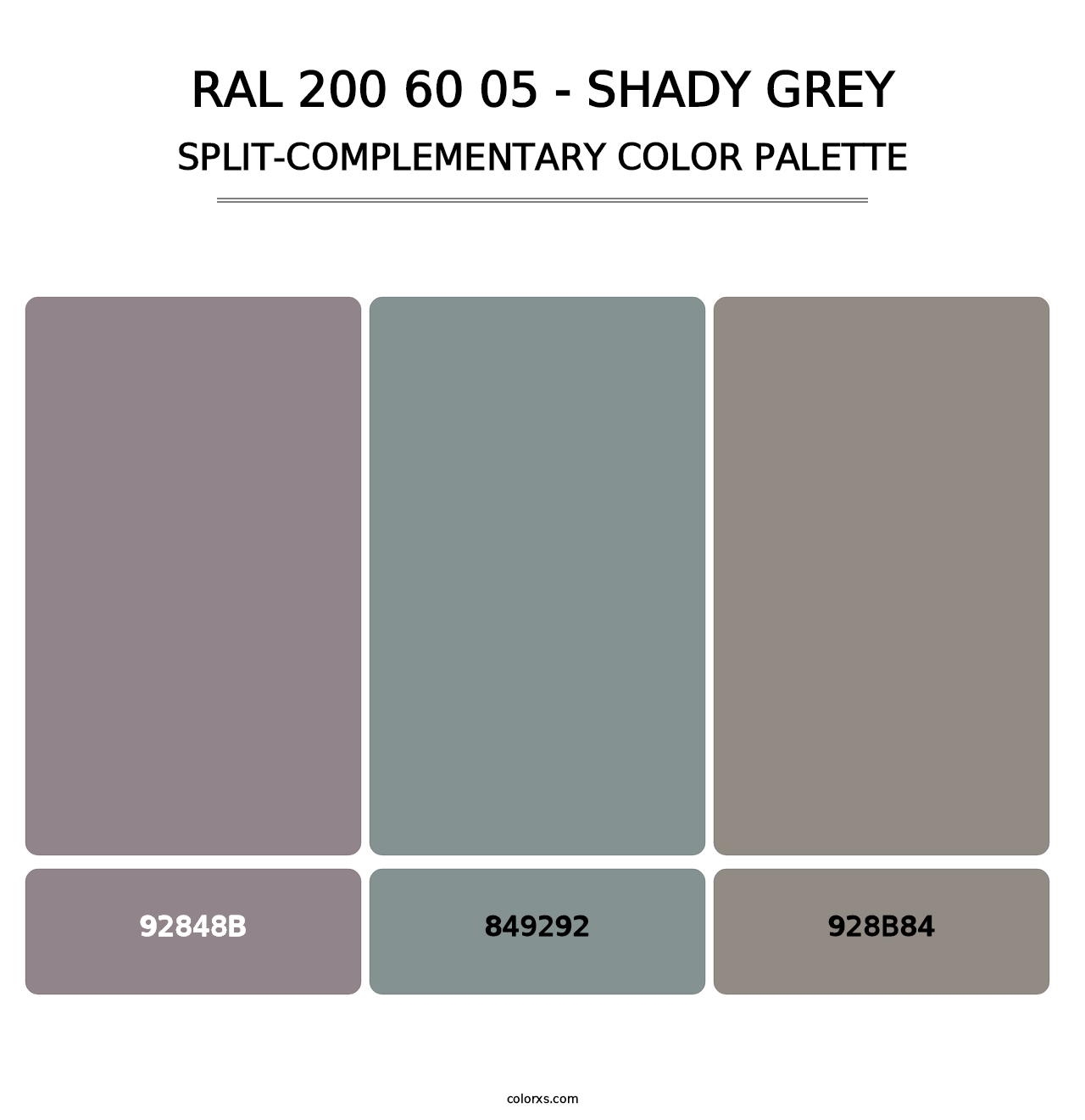 RAL 200 60 05 - Shady Grey - Split-Complementary Color Palette