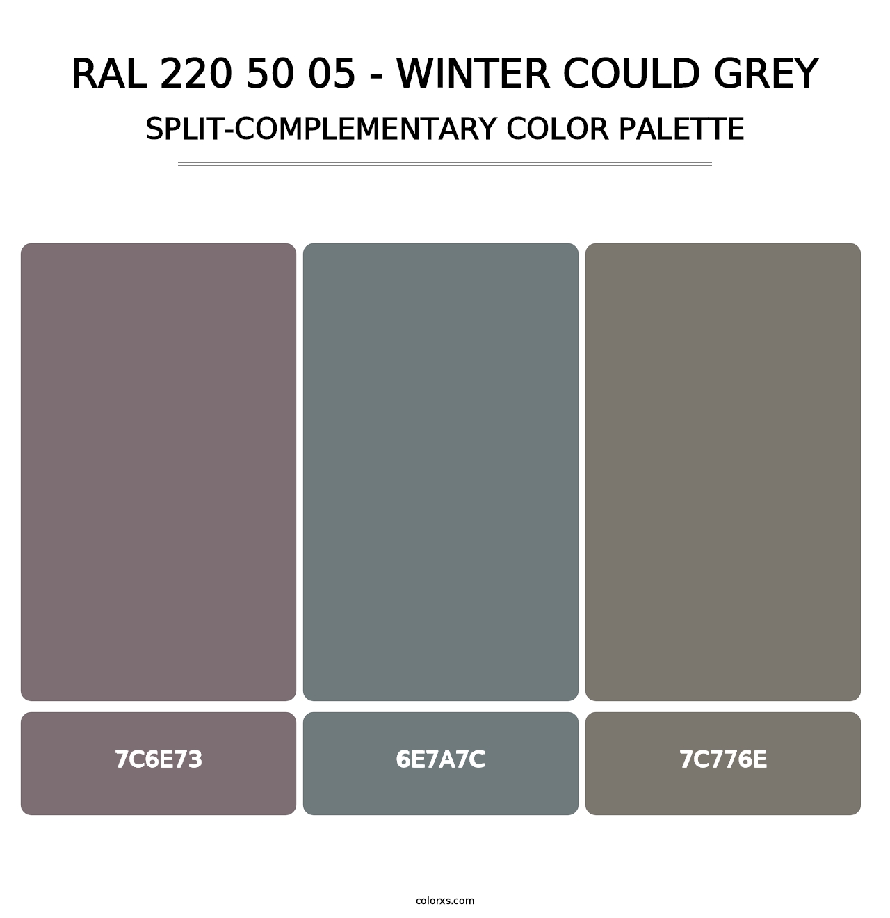 RAL 220 50 05 - Winter Could Grey - Split-Complementary Color Palette