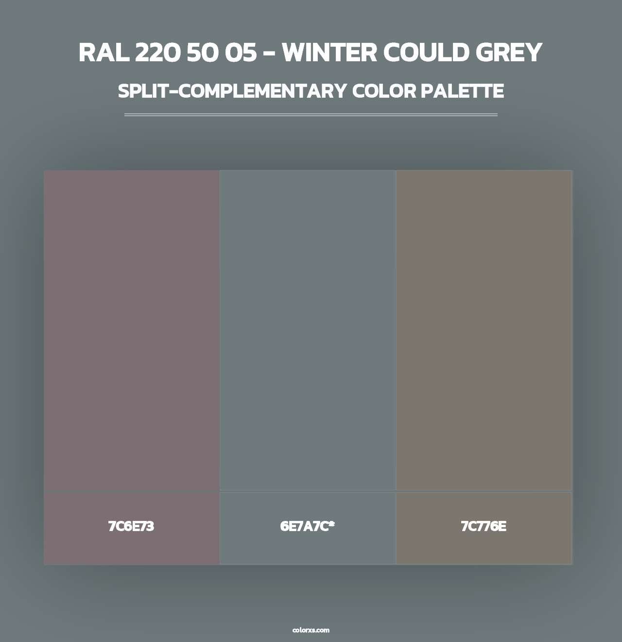 RAL 220 50 05 - Winter Could Grey - Split-Complementary Color Palette