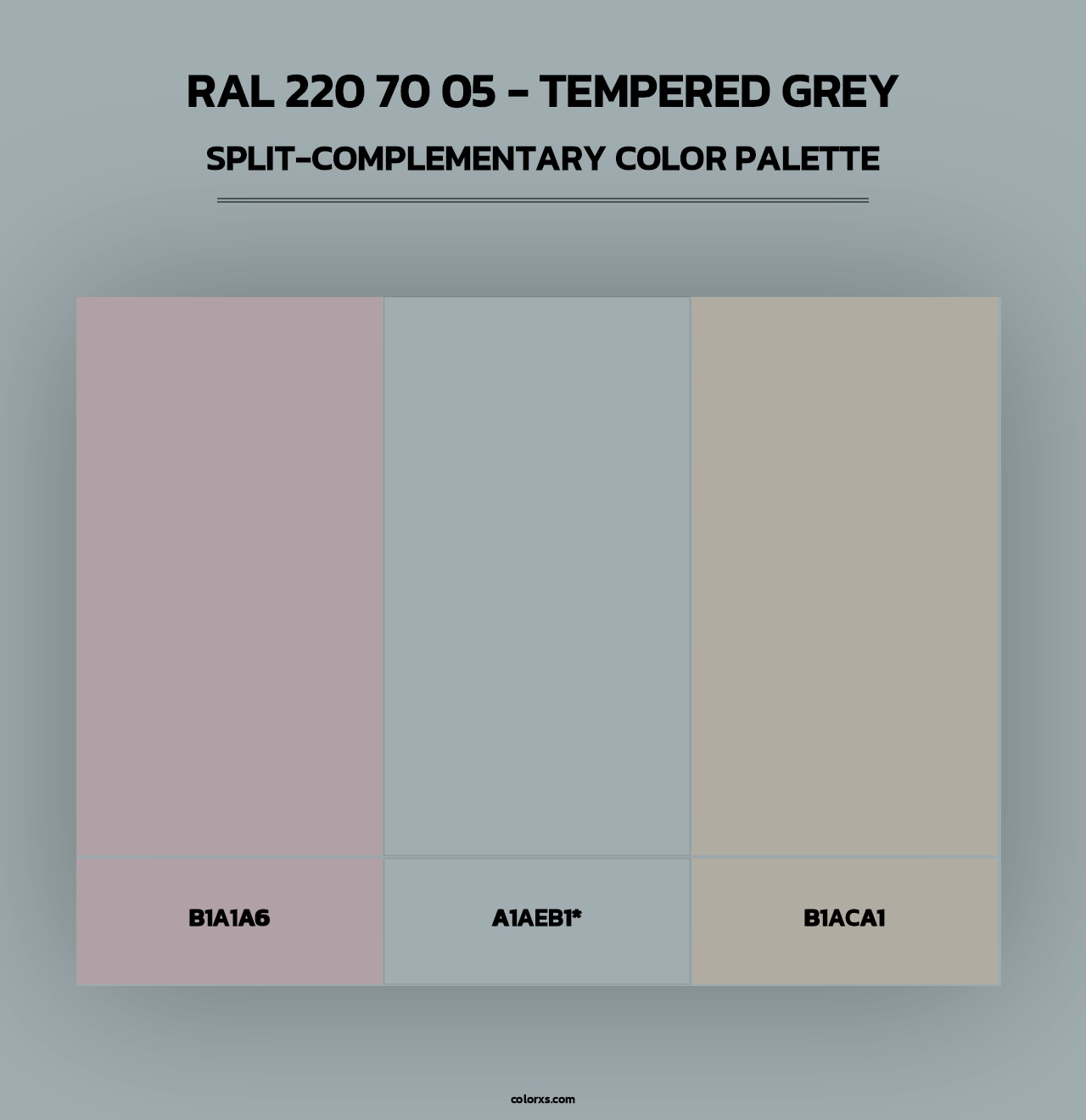 RAL 220 70 05 - Tempered Grey - Split-Complementary Color Palette