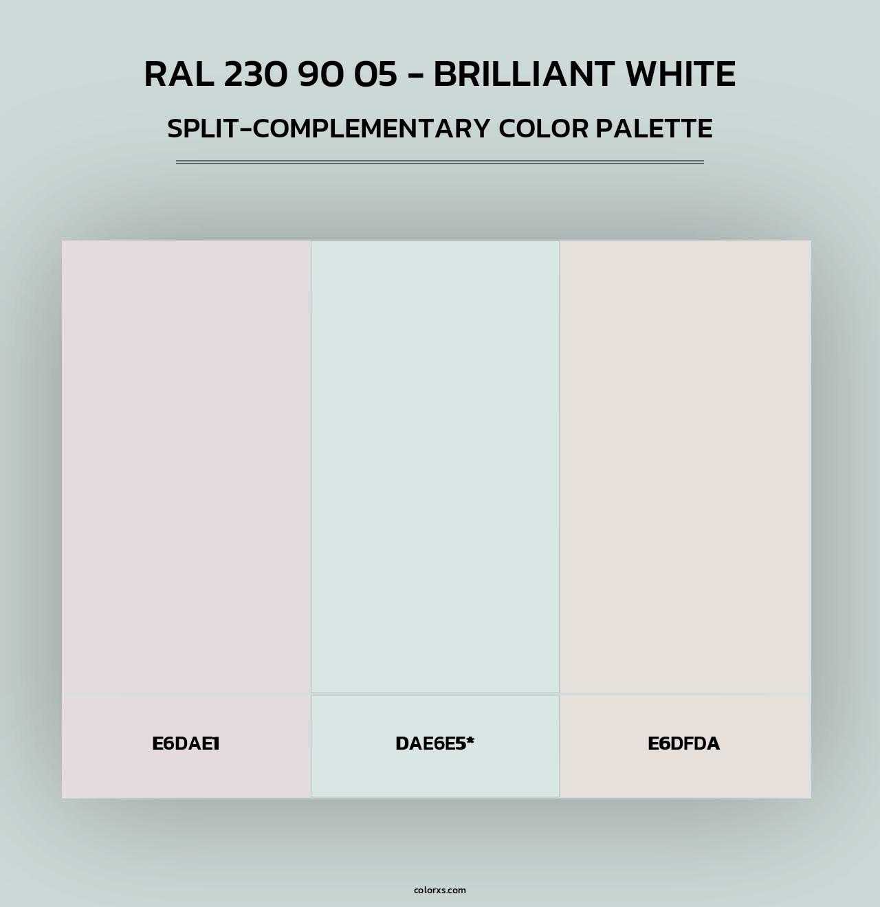 RAL 230 90 05 - Brilliant White - Split-Complementary Color Palette