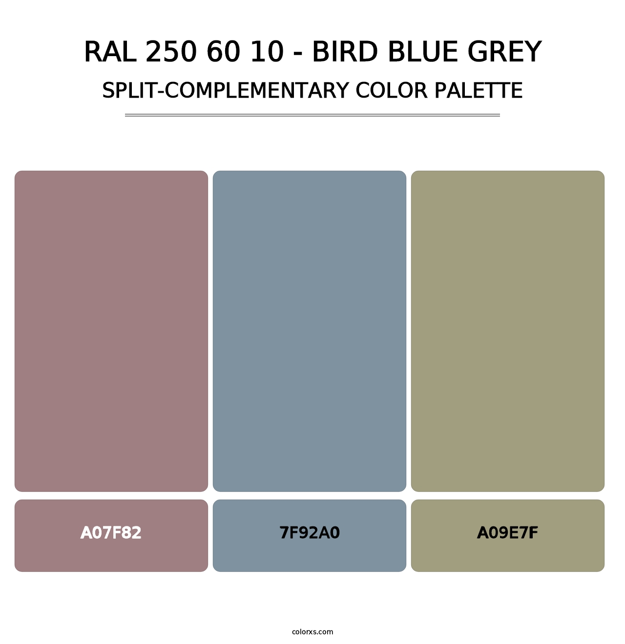 RAL 250 60 10 - Bird Blue Grey - Split-Complementary Color Palette