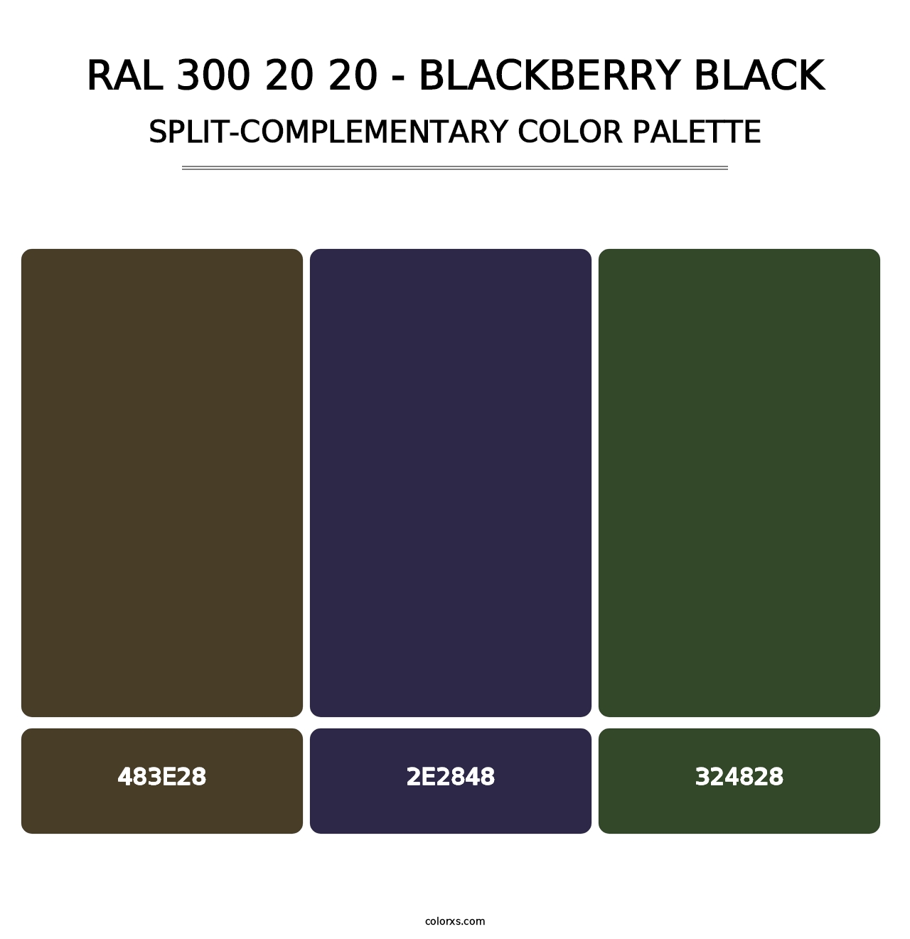 RAL 300 20 20 - Blackberry Black - Split-Complementary Color Palette