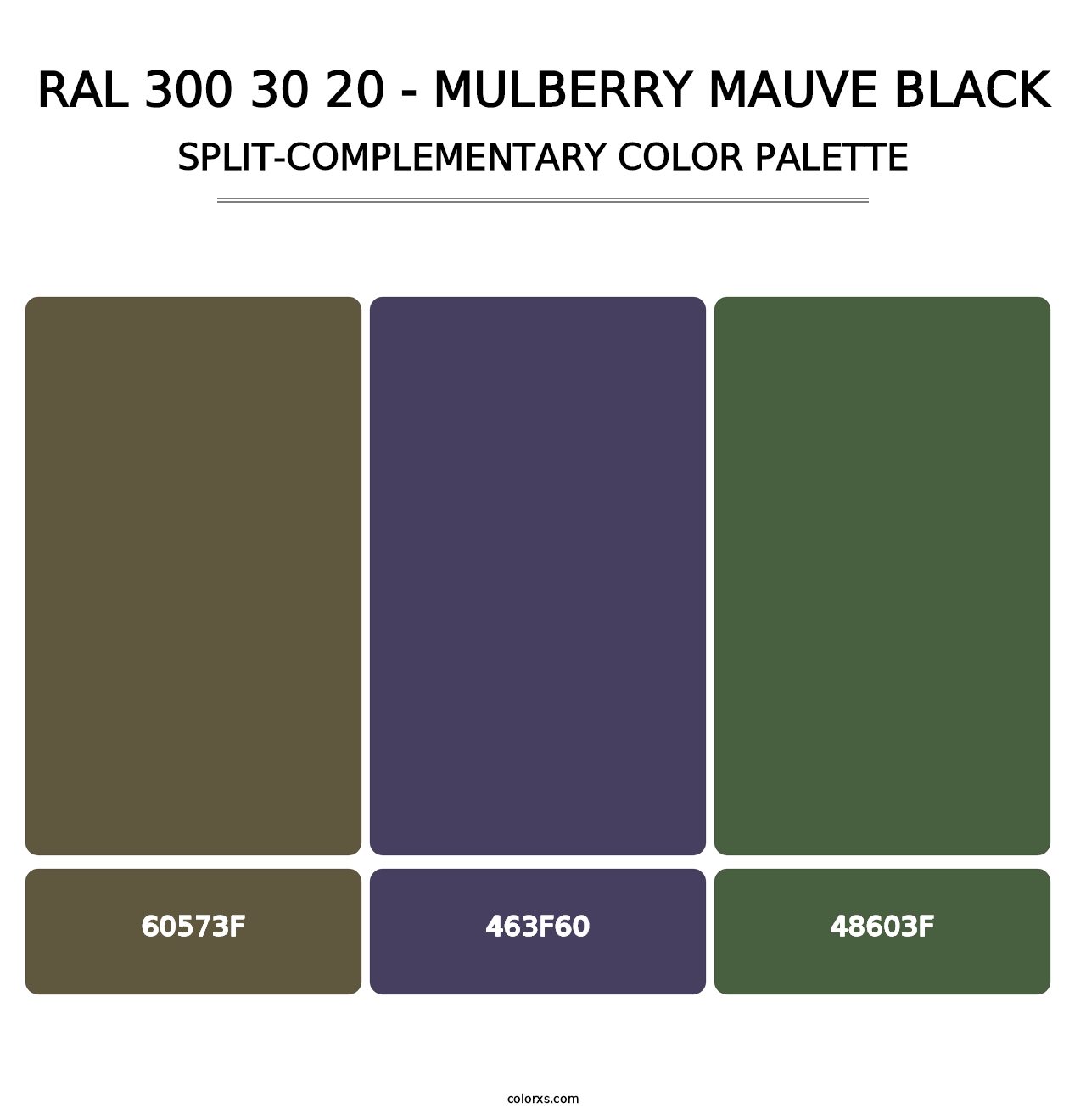 RAL 300 30 20 - Mulberry Mauve Black - Split-Complementary Color Palette
