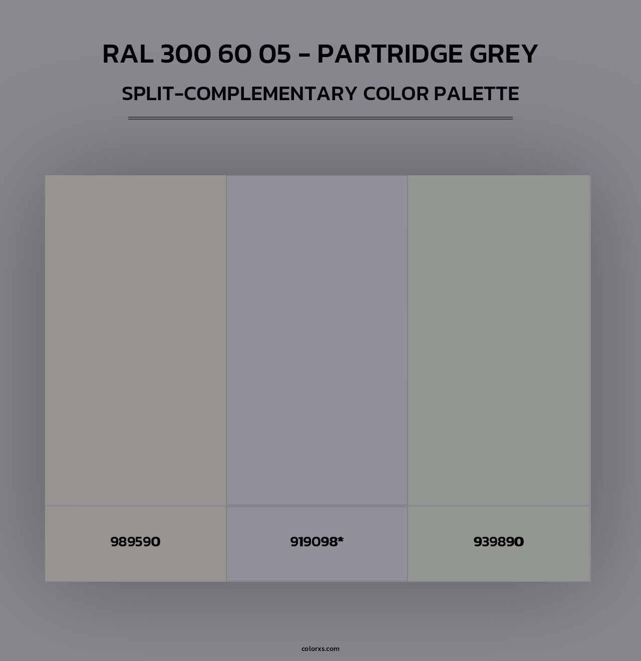 RAL 300 60 05 - Partridge Grey - Split-Complementary Color Palette